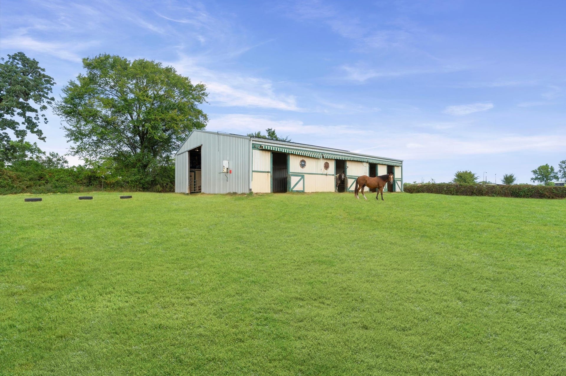 29381 Highway 6, Hempstead, TX 77445 29381 Highway 6, Hempstead, TX 77445