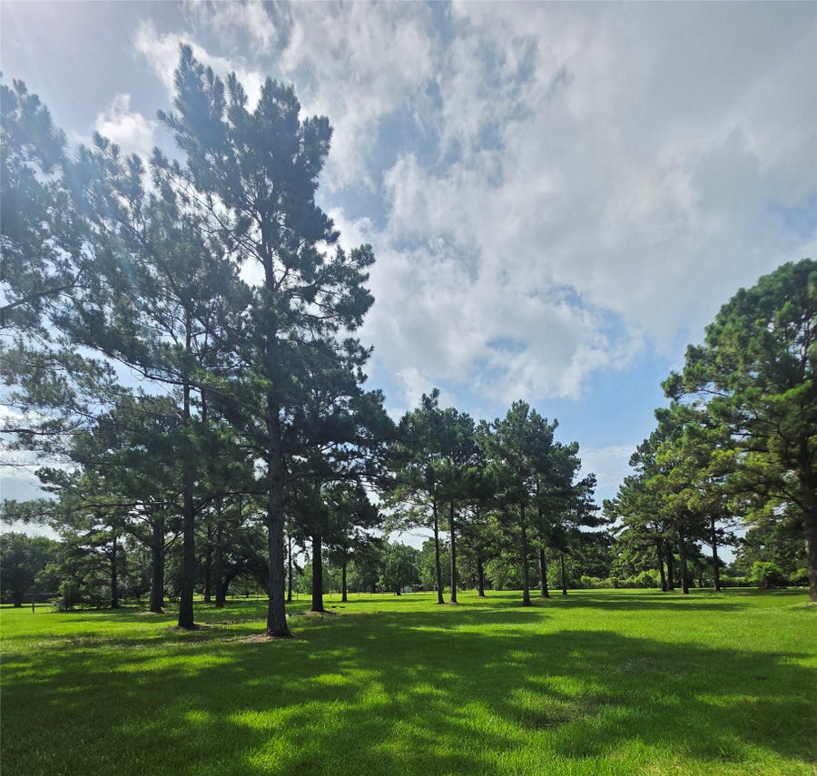 Property photo for 910 Sundown Meadows Street, Crosby, TX