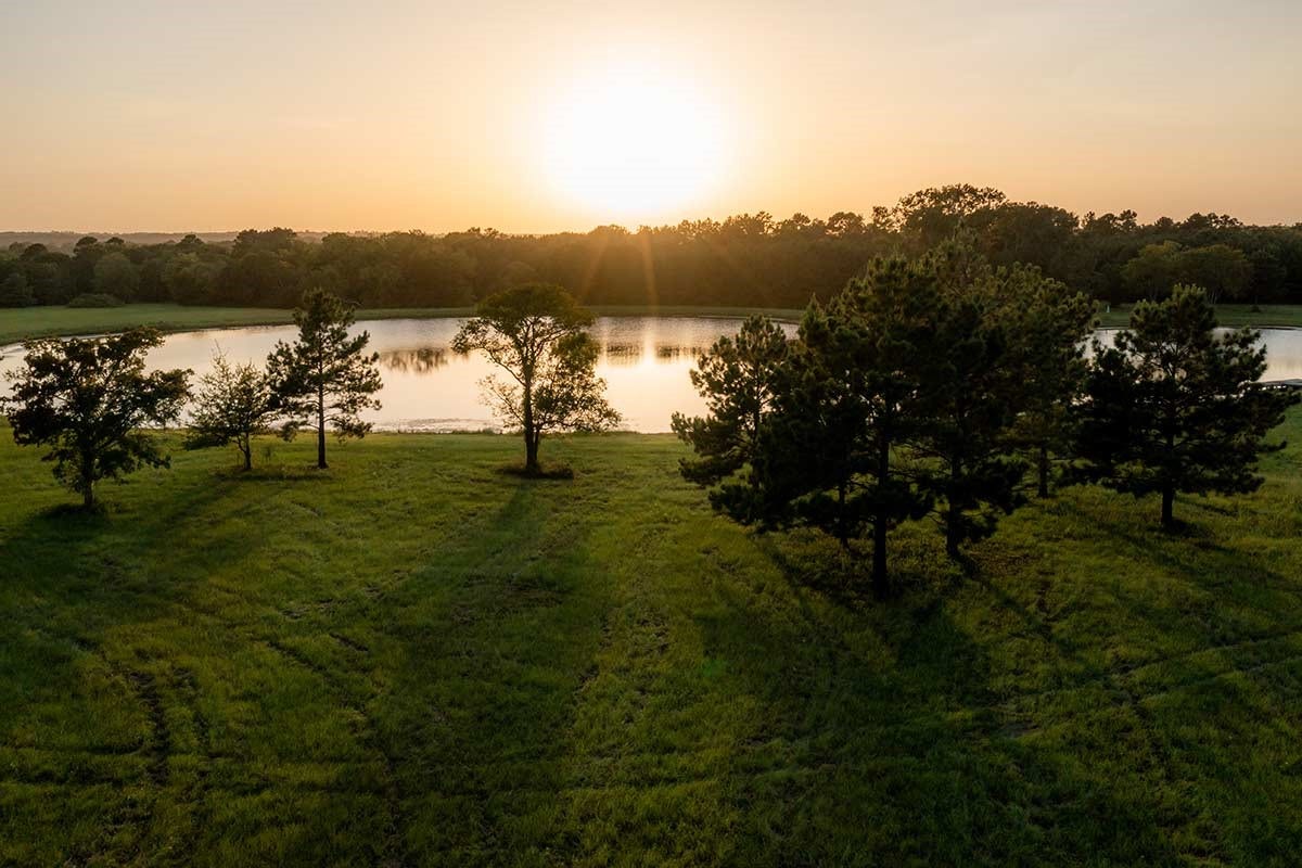 15229 Forest Grove Drive, Willis, TX 77378 15229 Forest Grove Drive, Willis, TX 77378