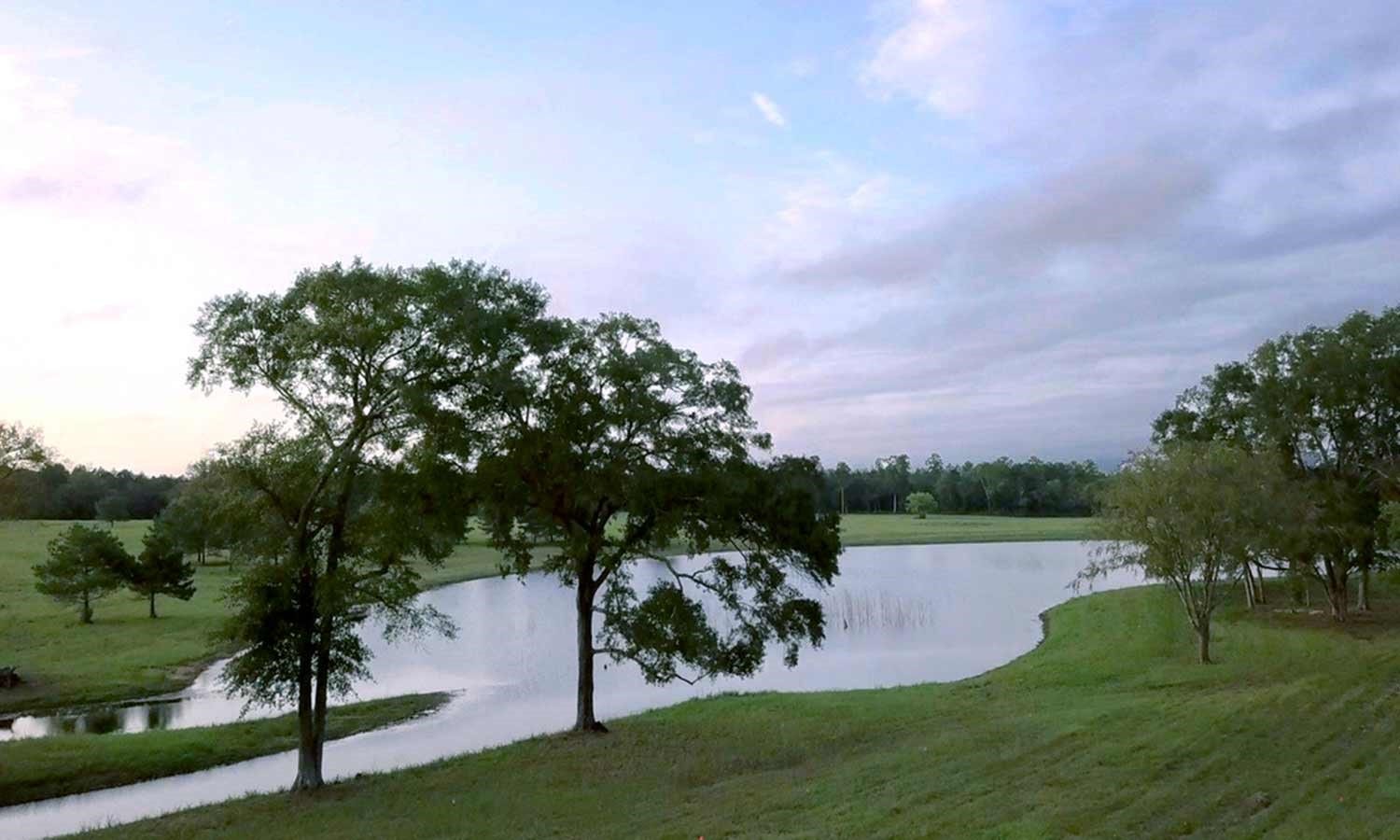 15229 Forest Grove Drive, Willis, TX 77378 15229 Forest Grove Drive, Willis, TX 77378