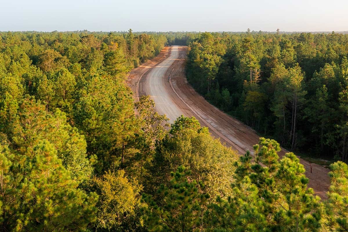 15229 Forest Grove Drive, Willis, TX 77378 15229 Forest Grove Drive, Willis, TX 77378