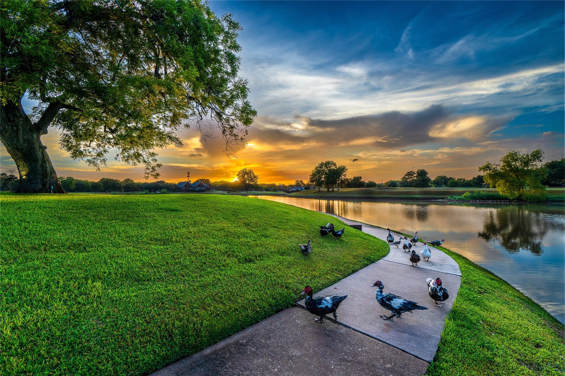 8126 BUFFALO SPRINGS COURT, Sugar Land, TX 77479 TRANQUIL LAKESIDE TRAILS.