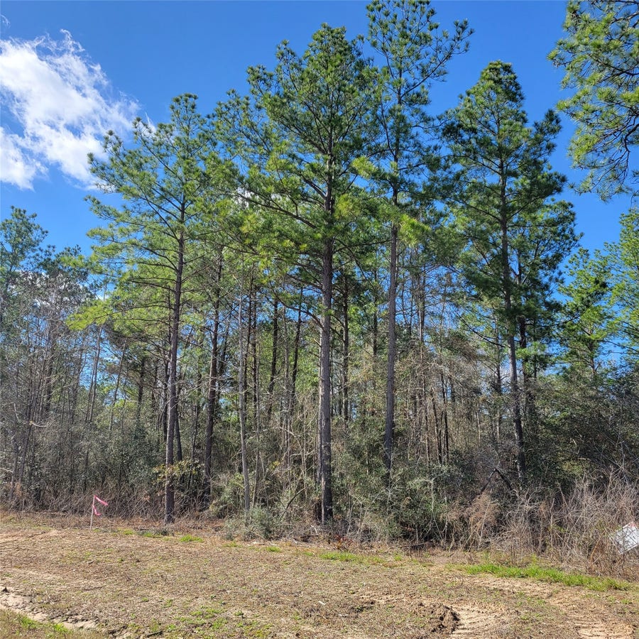Property photo for 15835 Ridge Rock Road, Willis, TX