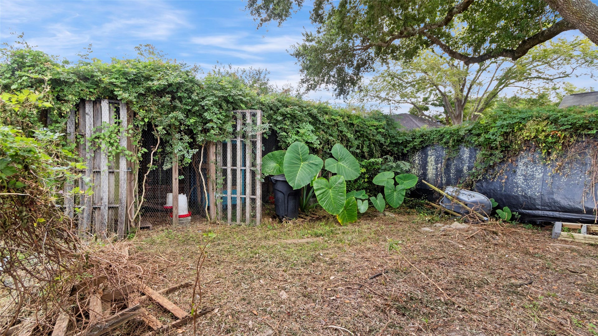 11939 11th Street, Santa Fe, TX 77510 Chicken Coop / could be turned into a green house