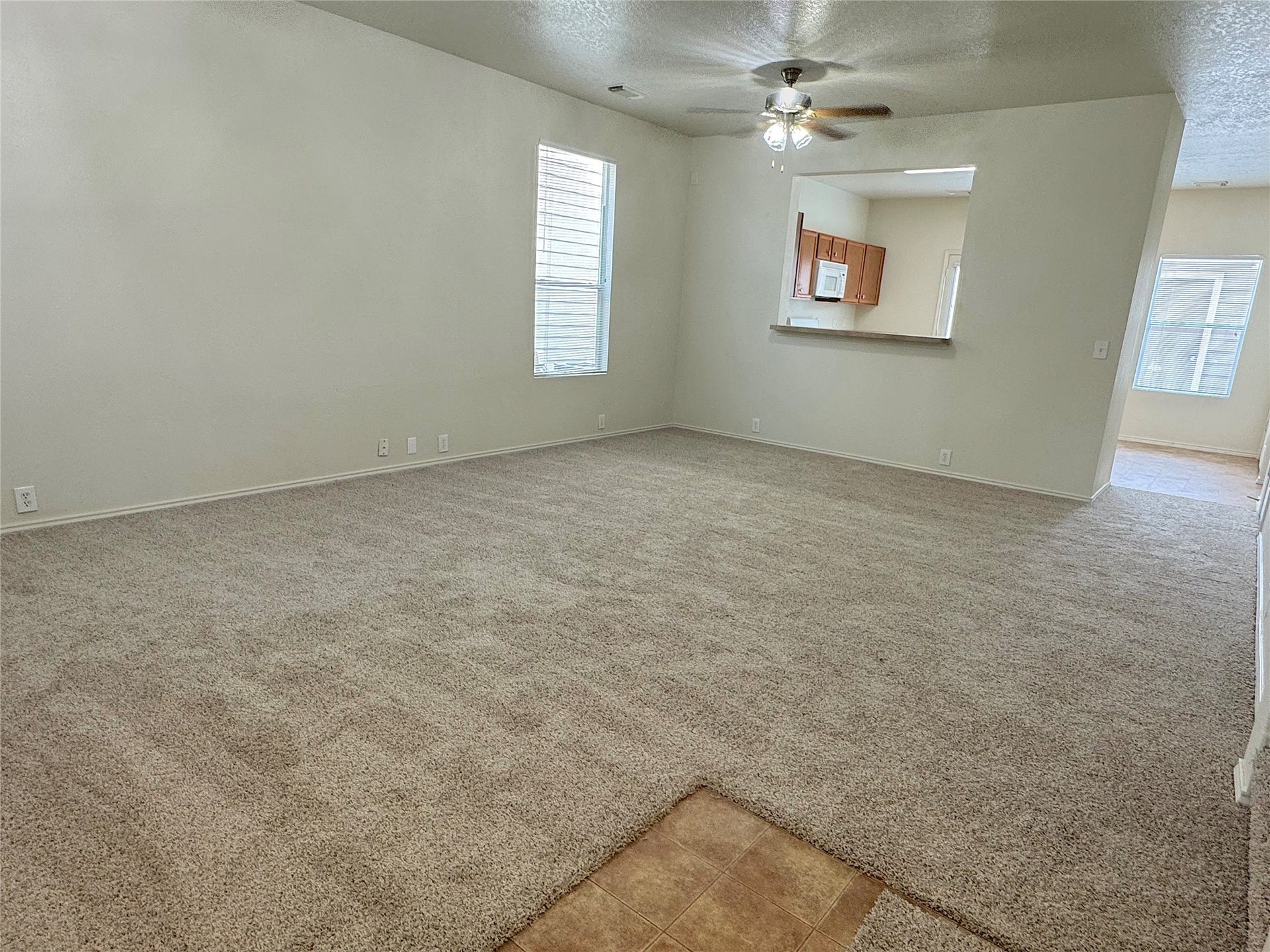 23822 Single Oak Street, Spring, TX 77373 Living area
