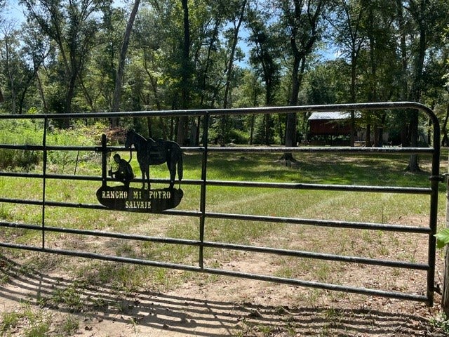 Property photo for TBD W  Christine Dr, Splendora, TX
