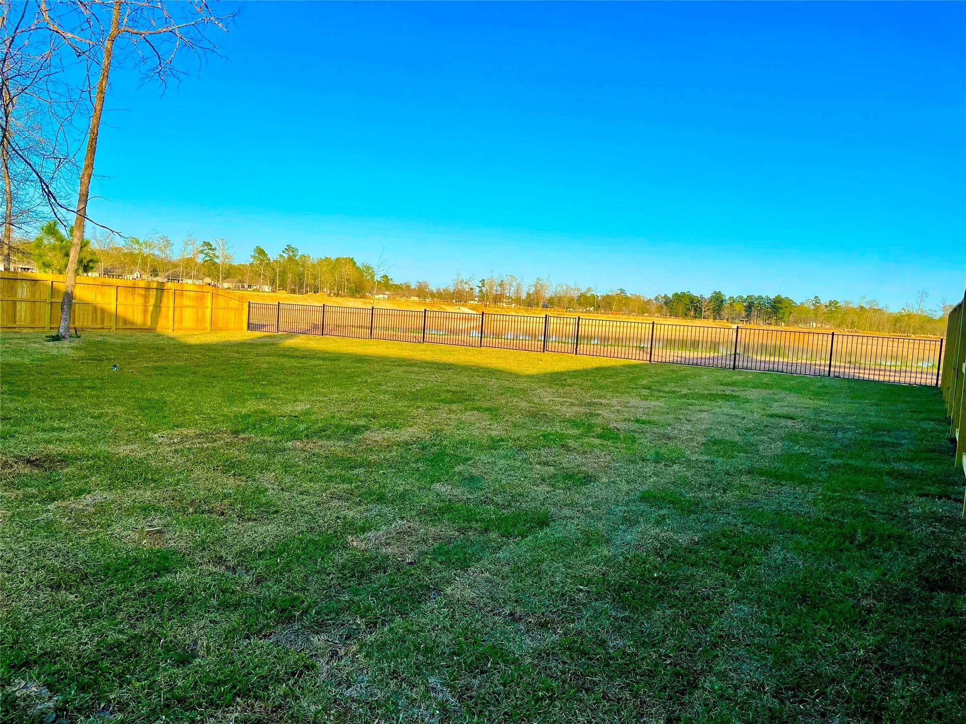 12328 N Chestnut Hills Drive, Conroe, TX 77303 Back Yard