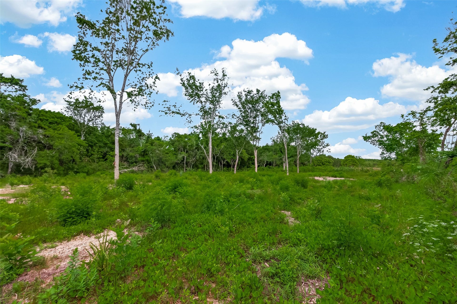 7600 Hacker Road, Hitchcock, TX 77563 A blank canvas for your ideas
