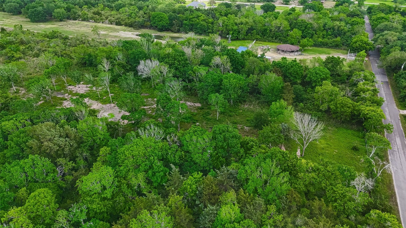 7600 Hacker Road, Hitchcock, TX 77563 Endless possibilities on this open land