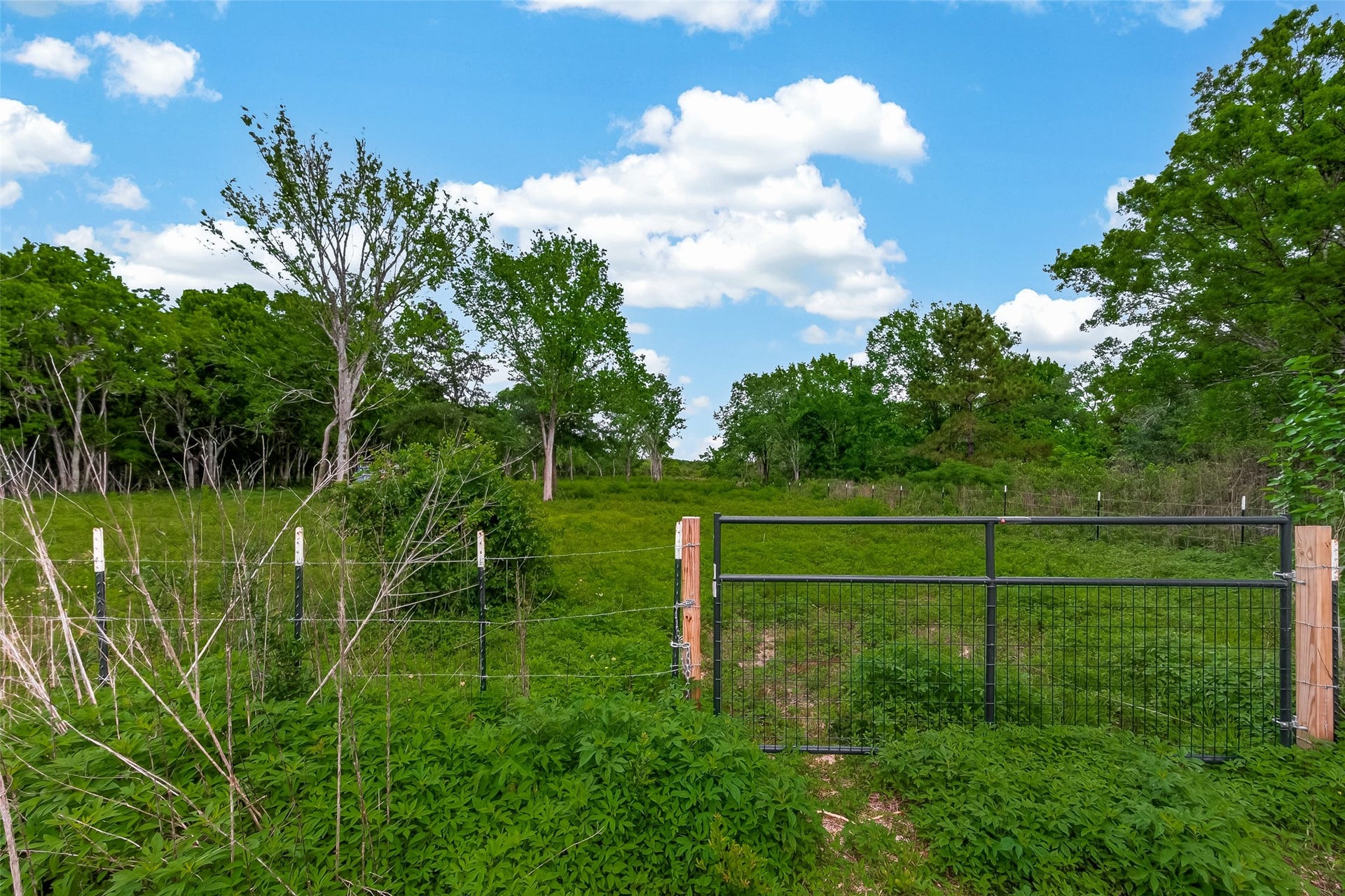 7600 Hacker Road, Hitchcock, TX 77563 The entrance with a gate. Your future starts on this lot.