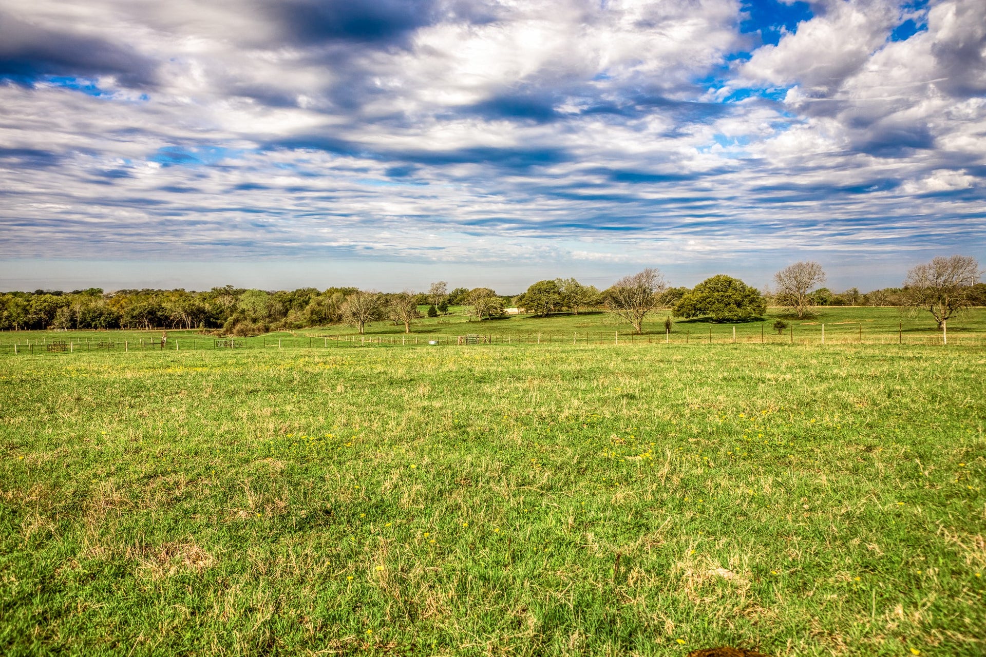 9502 Seward Plantation Road, Brenham, TX 77833 9502 Seward Plantation Road, Brenham, TX 77833