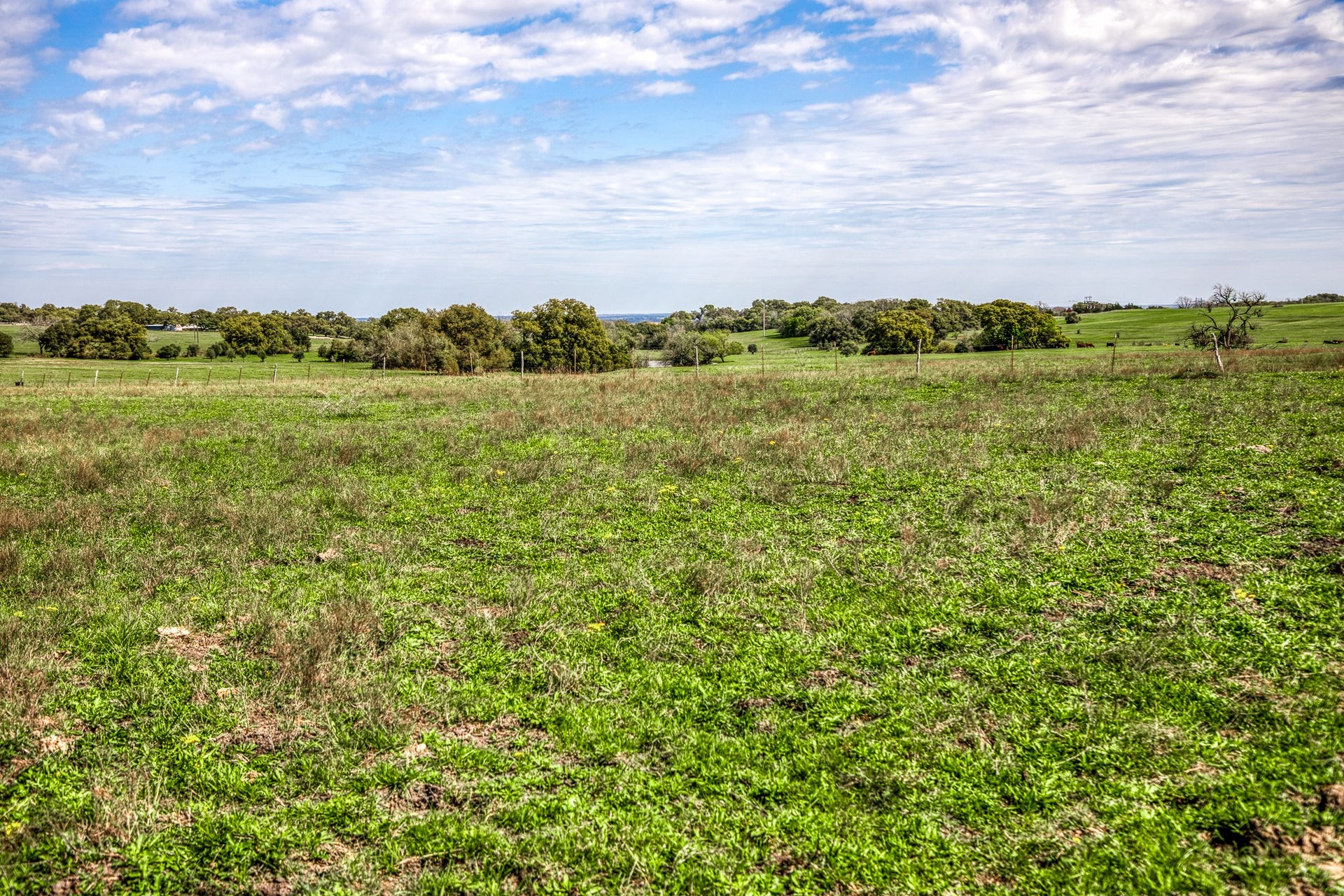 9502 Seward Plantation Road, Brenham, TX 77833 9502 Seward Plantation Road, Brenham, TX 77833