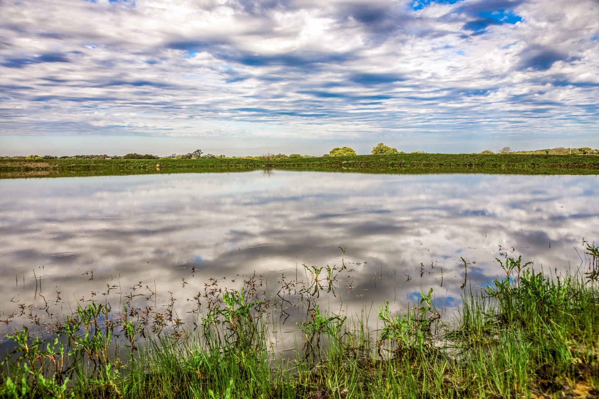 9502 Seward Plantation Road, Brenham, TX 77833 9502 Seward Plantation Road, Brenham, TX 77833
