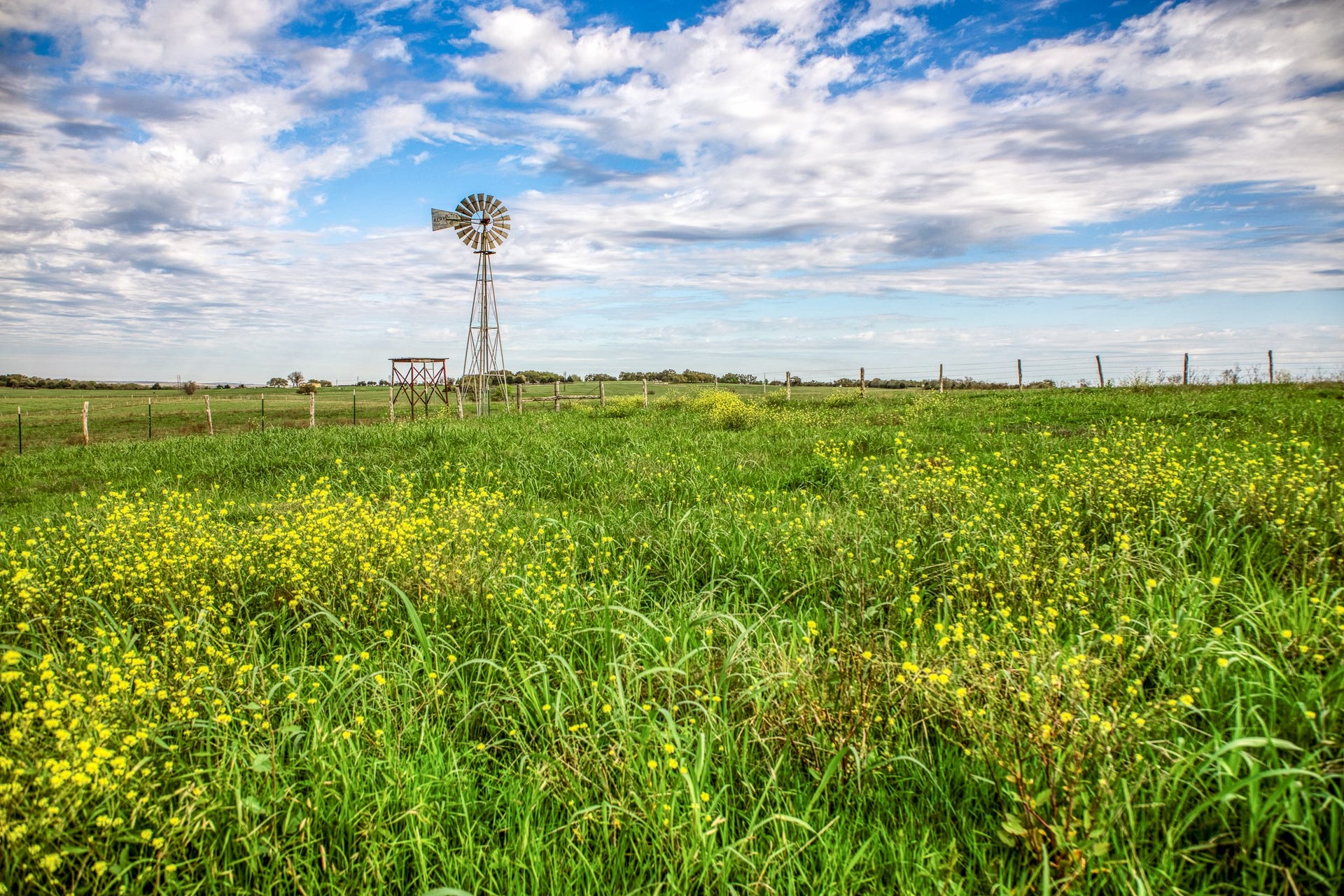 9502 Seward Plantation Road, Brenham, TX 77833 9502 Seward Plantation Road, Brenham, TX 77833