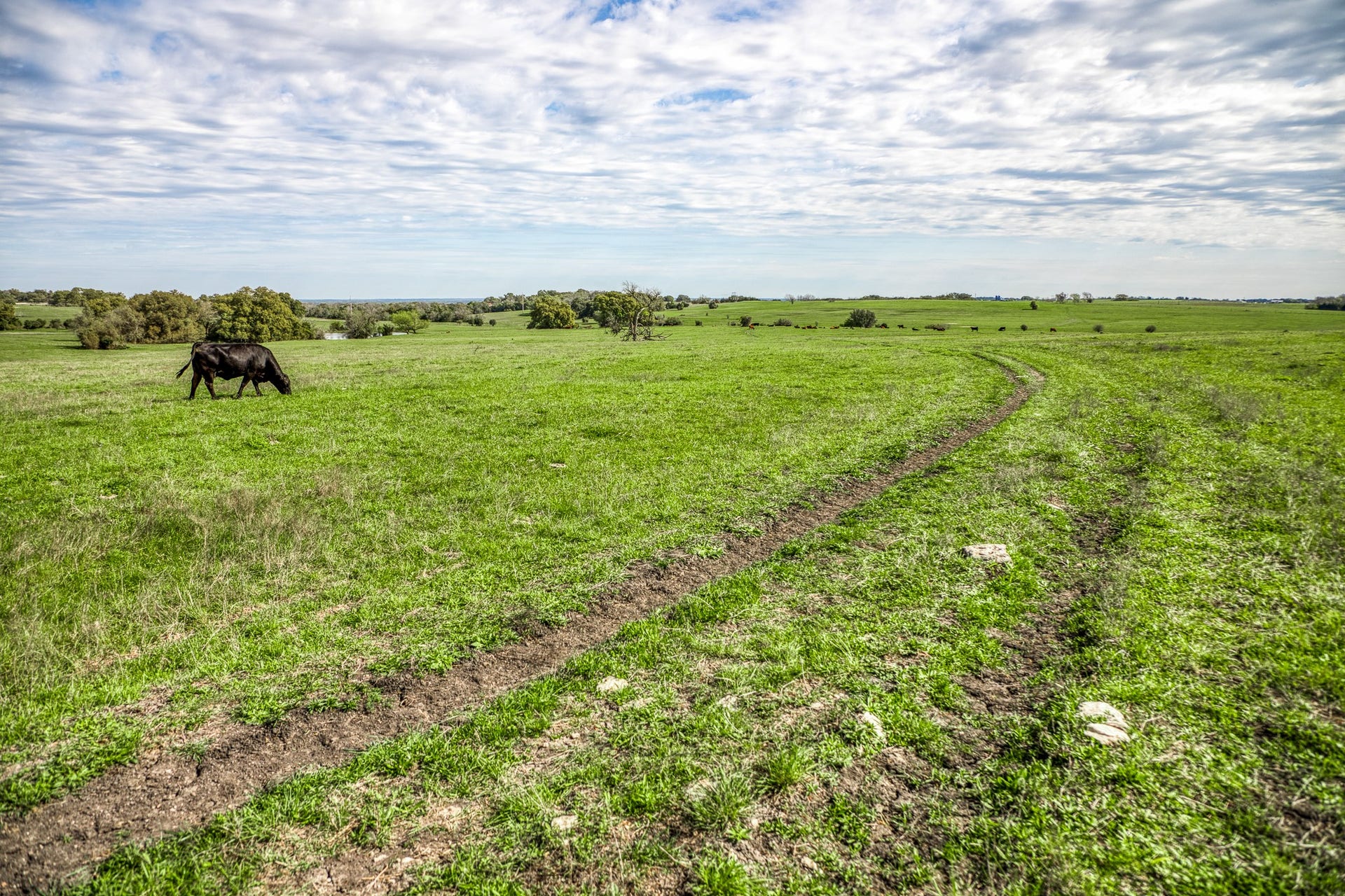 9502 Seward Plantation Road, Brenham, TX 77833 9502 Seward Plantation Road, Brenham, TX 77833