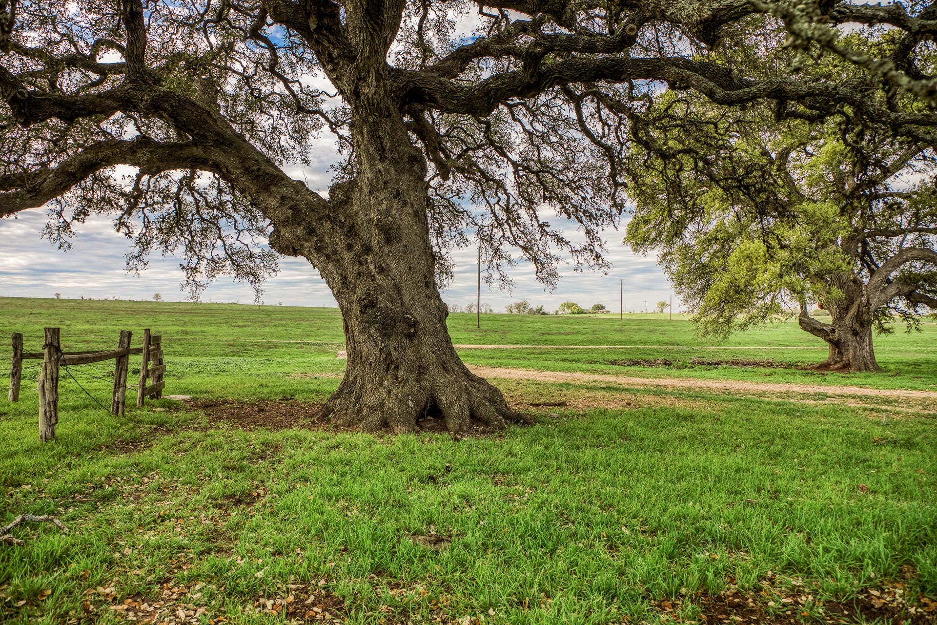 9502 Seward Plantation Road, Brenham, TX 77833 9502 Seward Plantation Road, Brenham, TX 77833