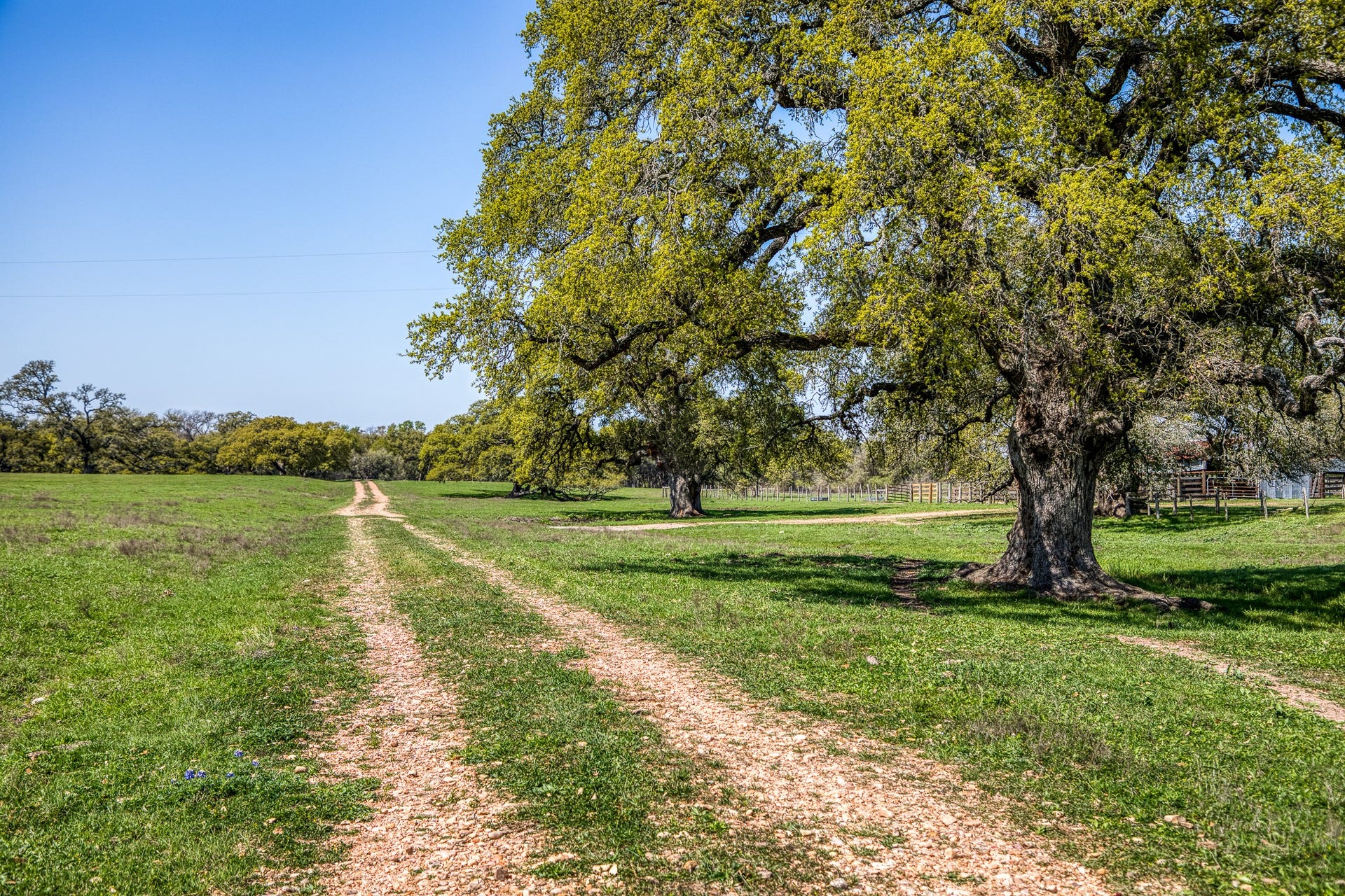 9502 Seward Plantation Road, Brenham, TX 77833 9502 Seward Plantation Road, Brenham, TX 77833