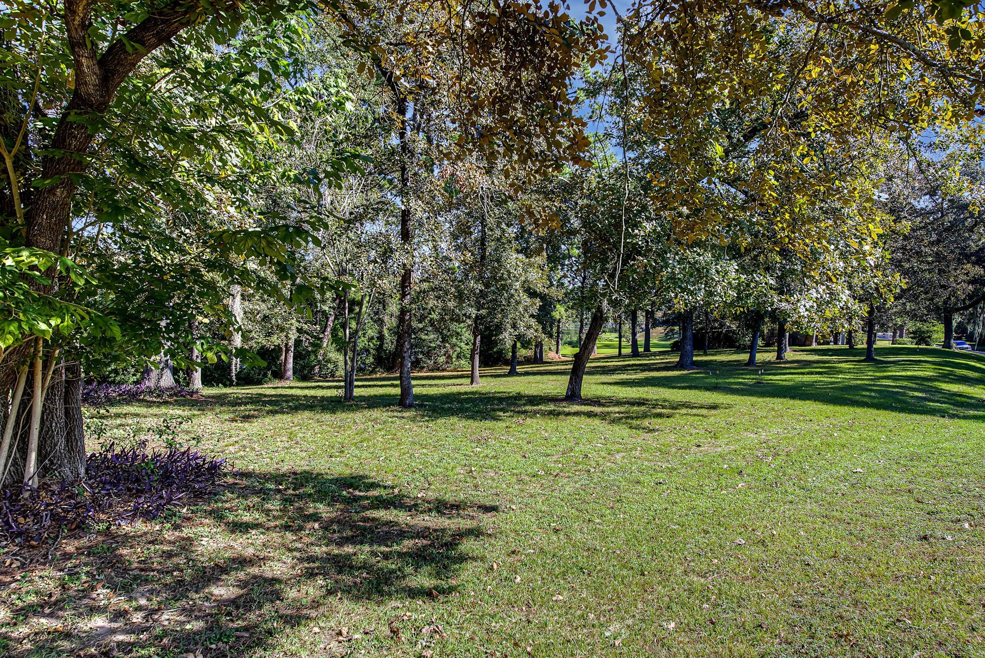 0 Brook Hollow Dr, Conroe, TX 77385 0 Brook Hollow Dr, Conroe, TX 77385
