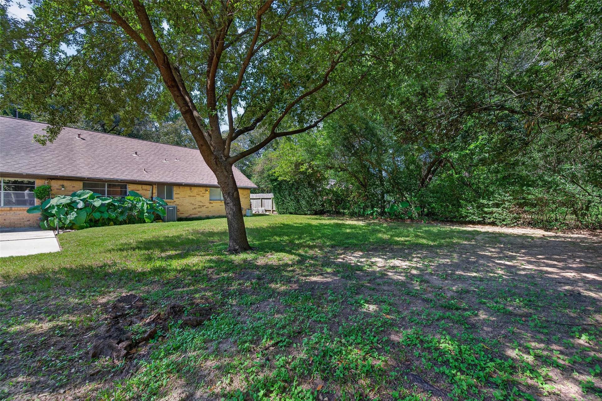 25702 Timber Lakes Drive, Spring, TX 77380 Back Yard