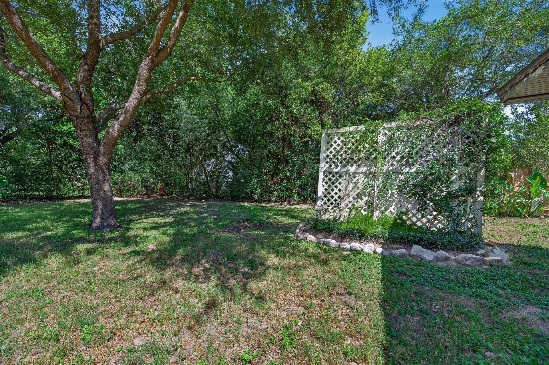 25702 Timber Lakes Drive, Spring, TX 77380 Back Yard