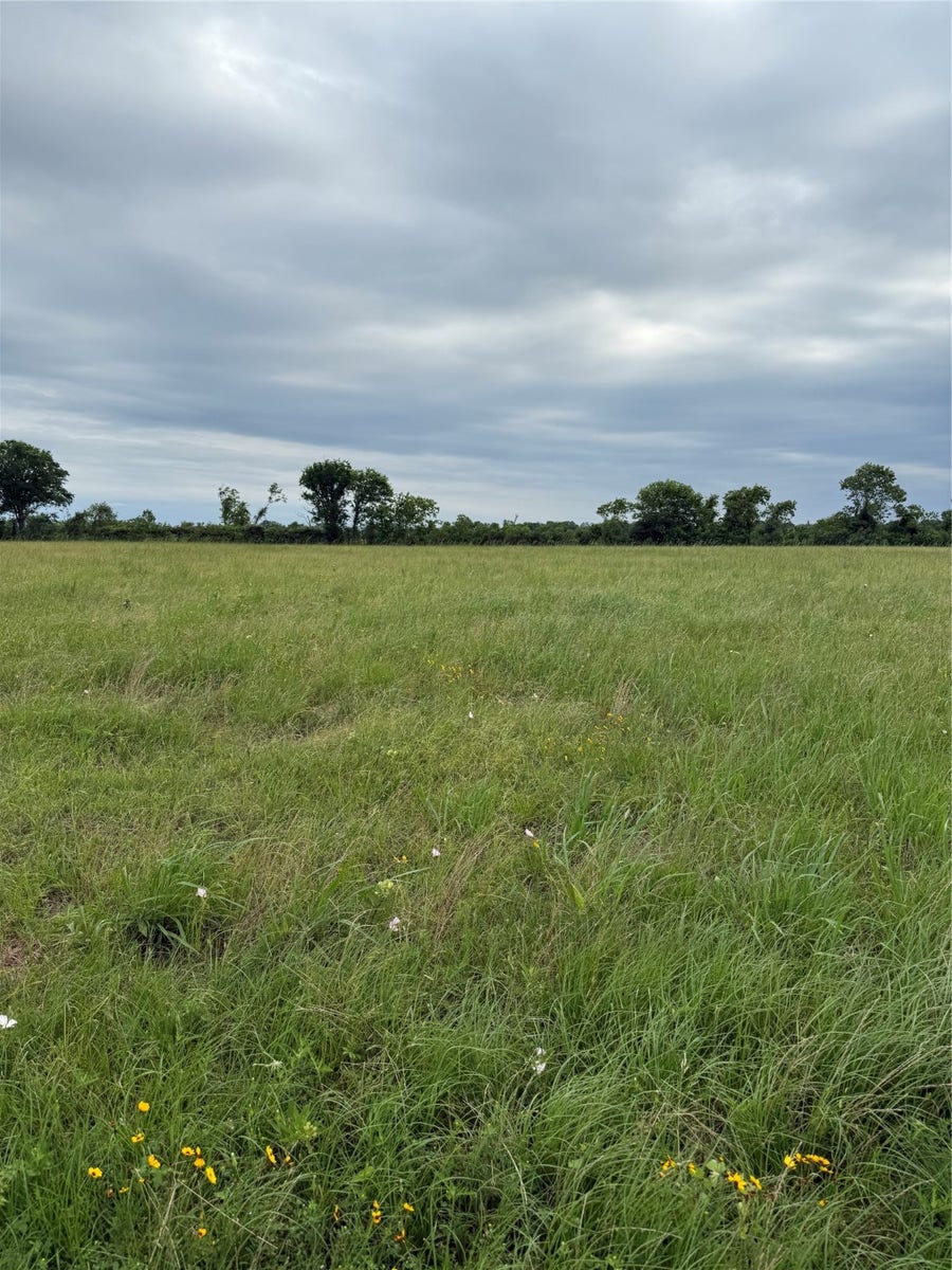 Property photo for 0 Apache Trail, Angleton, TX