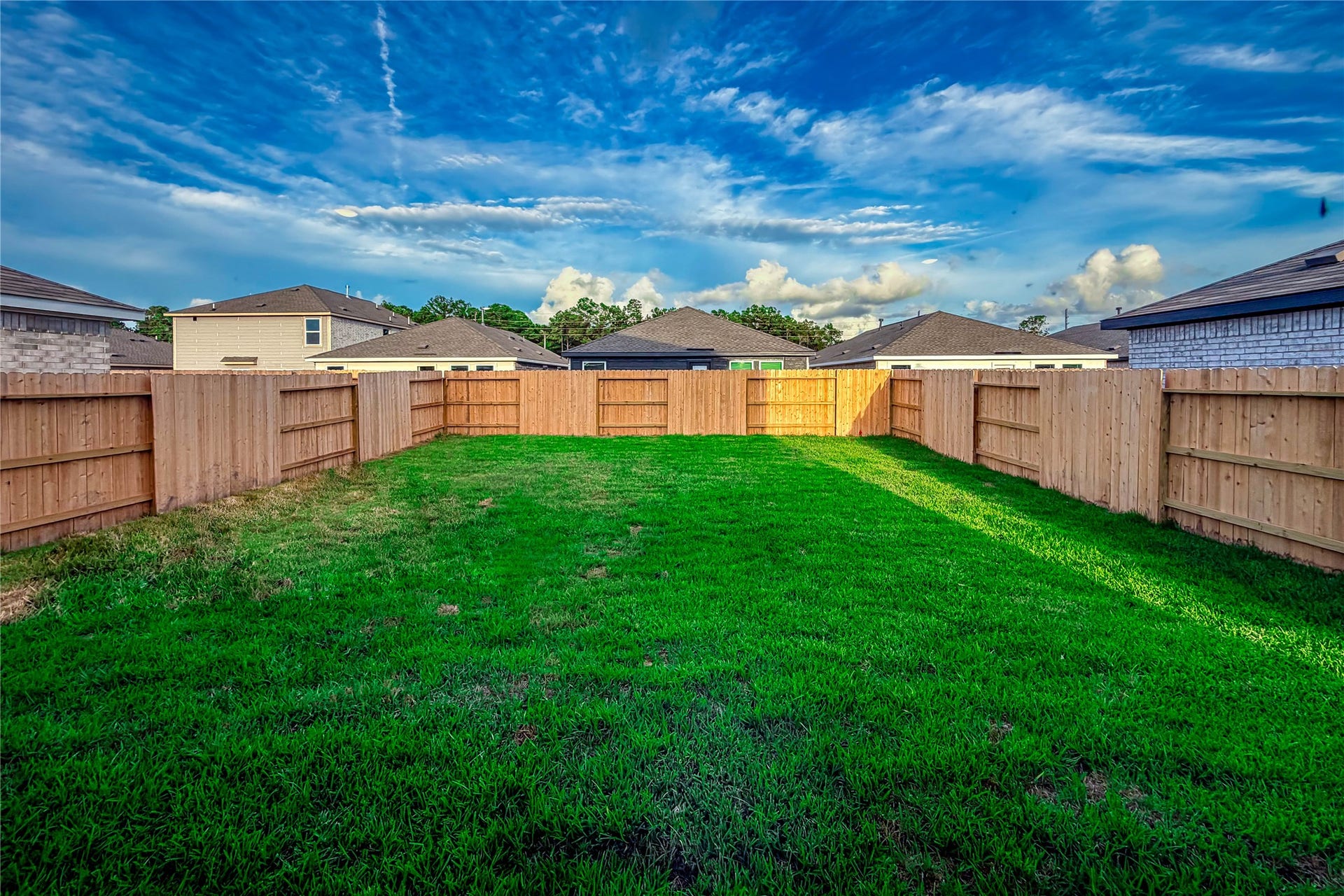 Backyard view