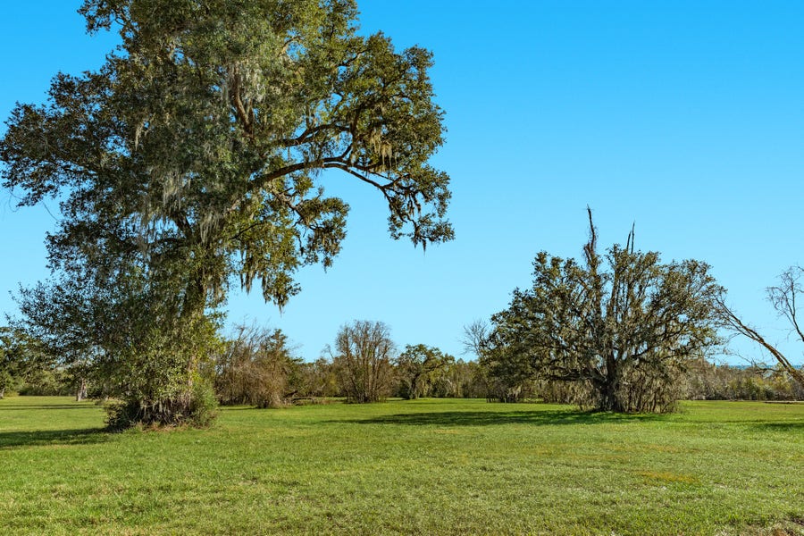 Property photo for 1119 Indian Ridge, Rosharon, TX