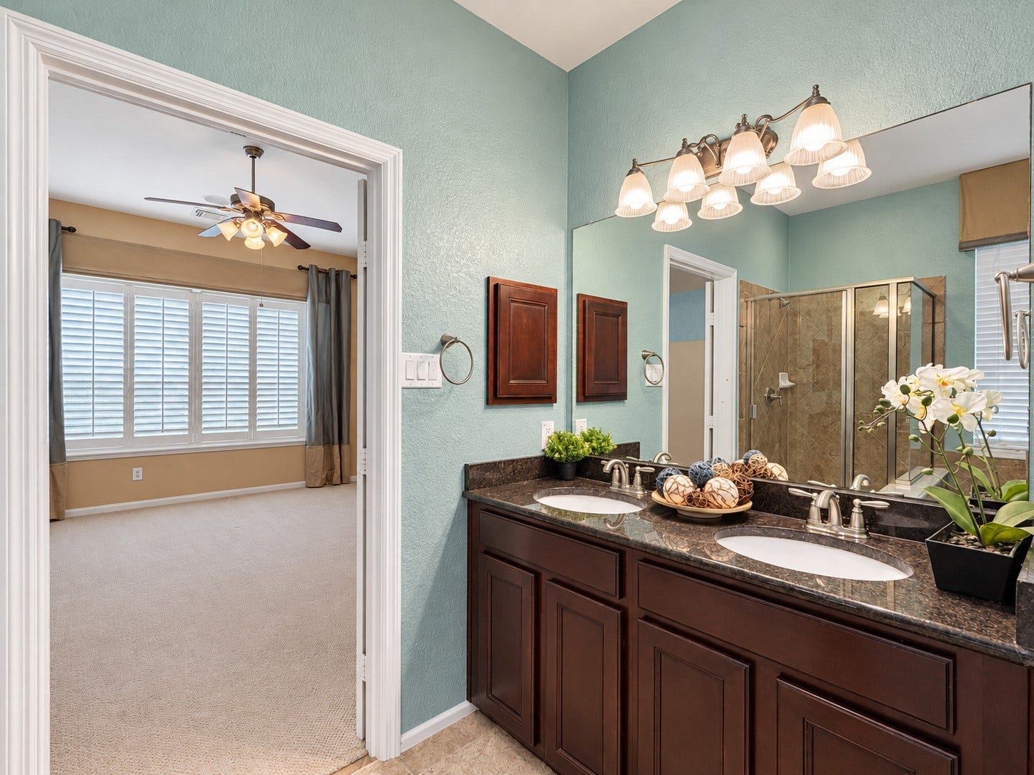 10007 Terrance Springs Lane, Katy, TX 77494 10007 Terrance Springs Lane, Katy, TX 77494