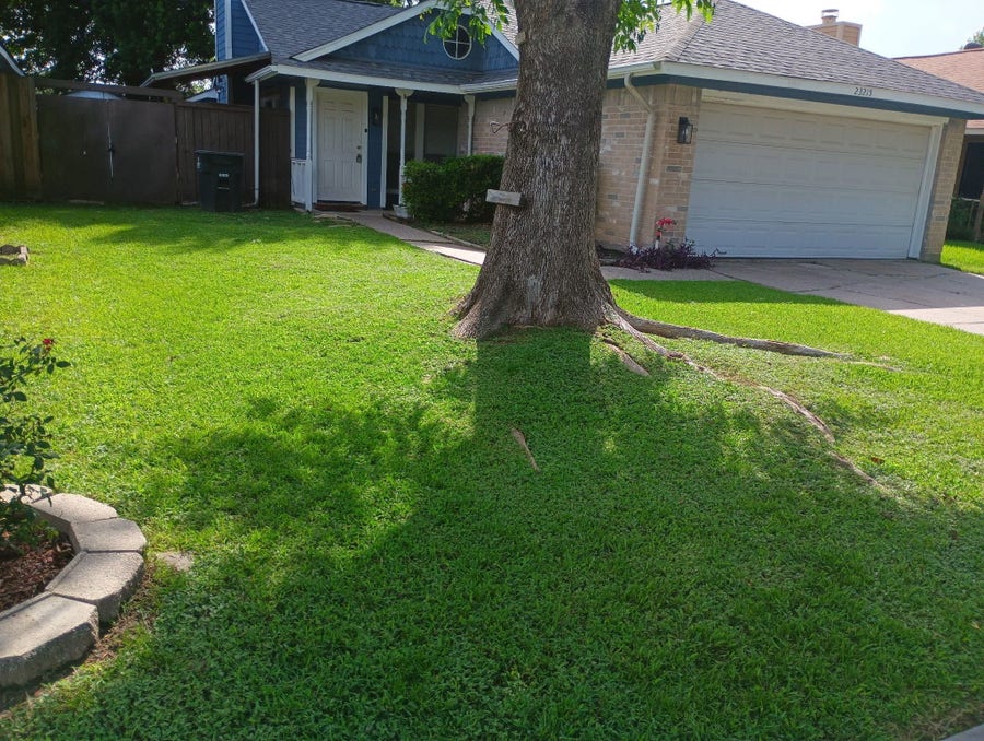 Property photo for 23215 Tree House Lane, Spring, TX