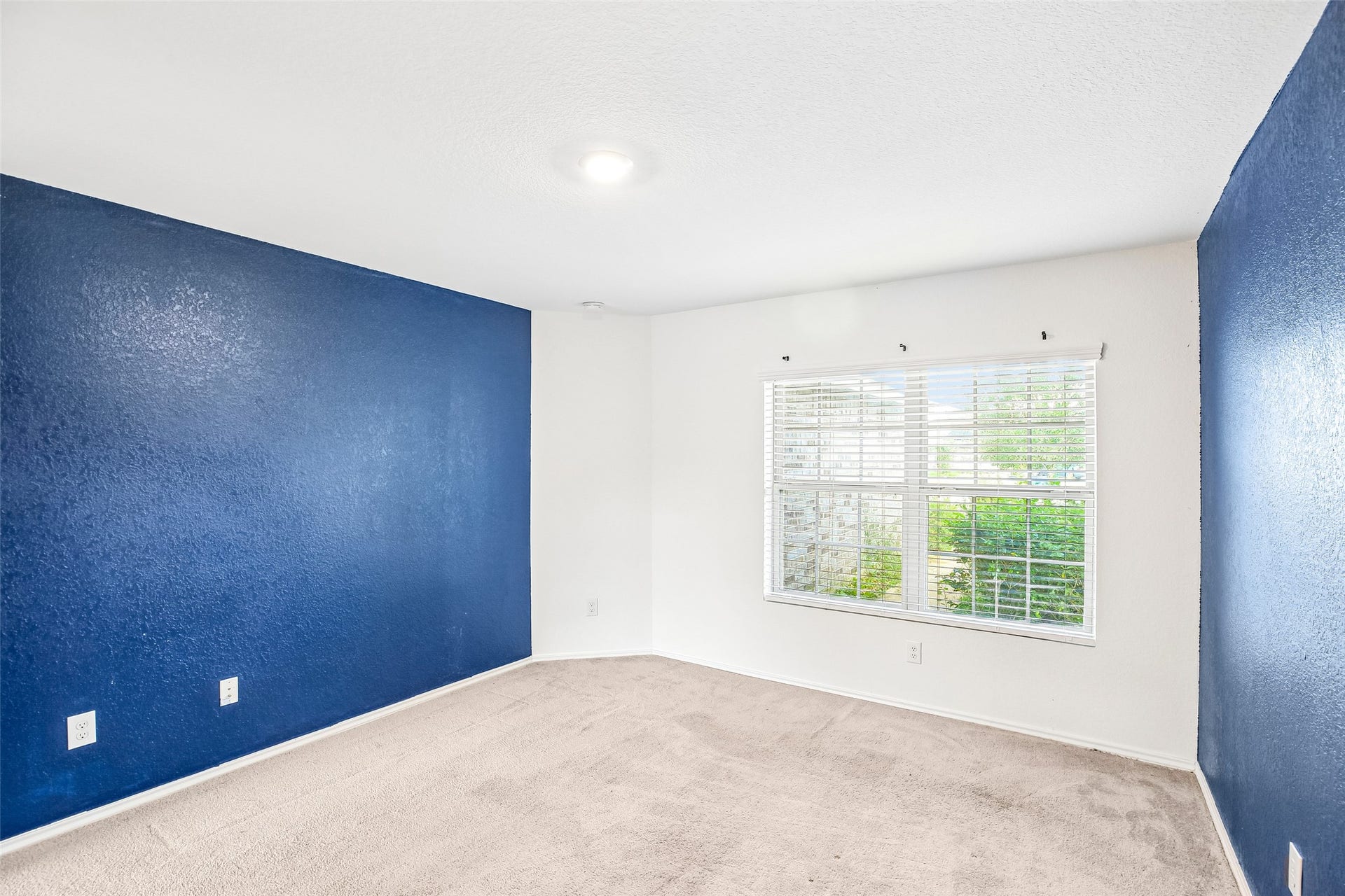 184 Kelly Street, Angleton, TX 77515 Empty carpeted room with blue accent walls, white blinds, and a large window overlooking greenery.