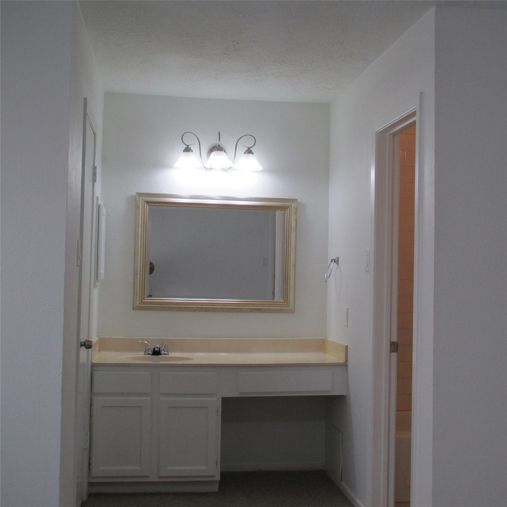 24042 Spring Gum Drive, Spring, TX 77373 Primary Bath Vanity