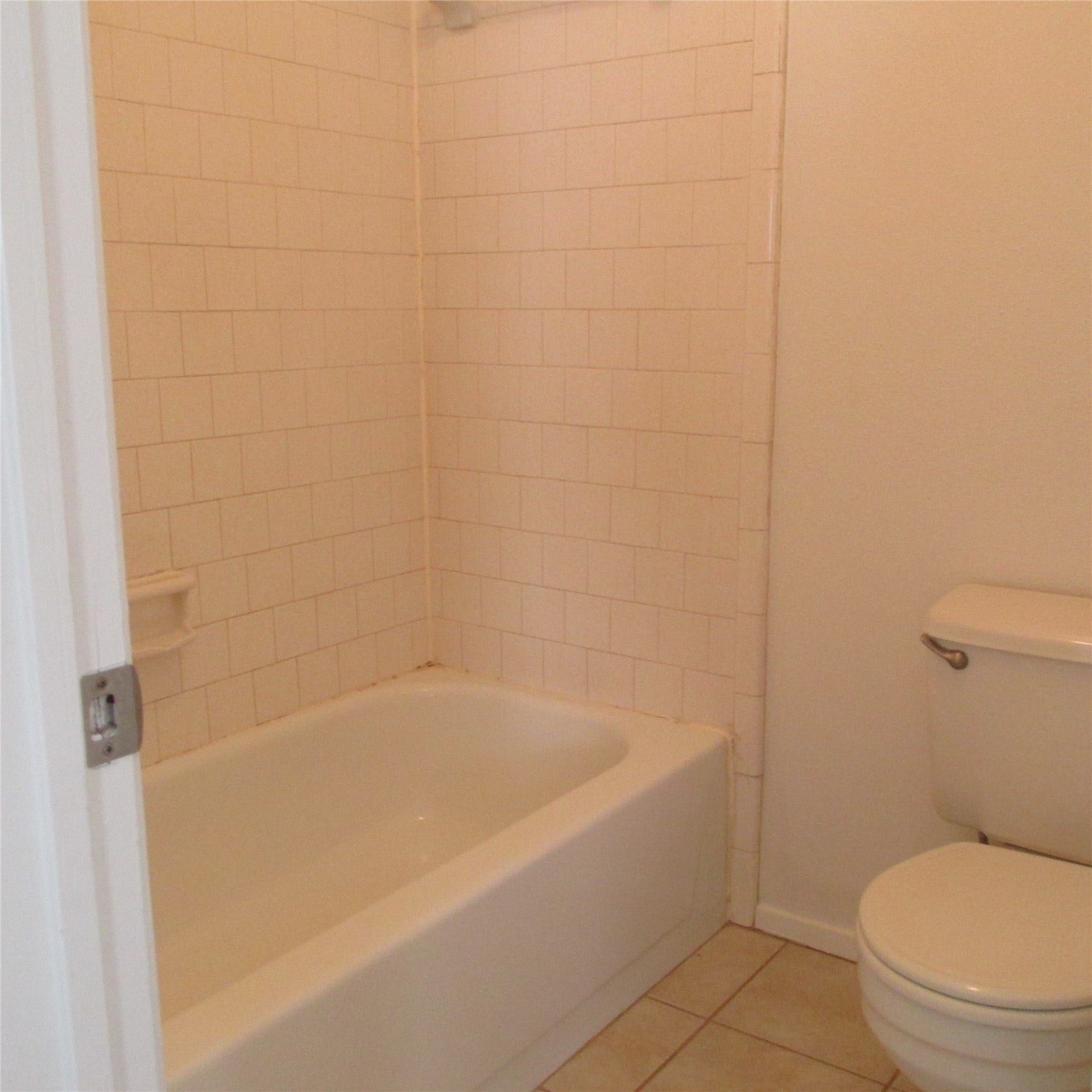 24042 Spring Gum Drive, Spring, TX 77373 Primary Bath Tub