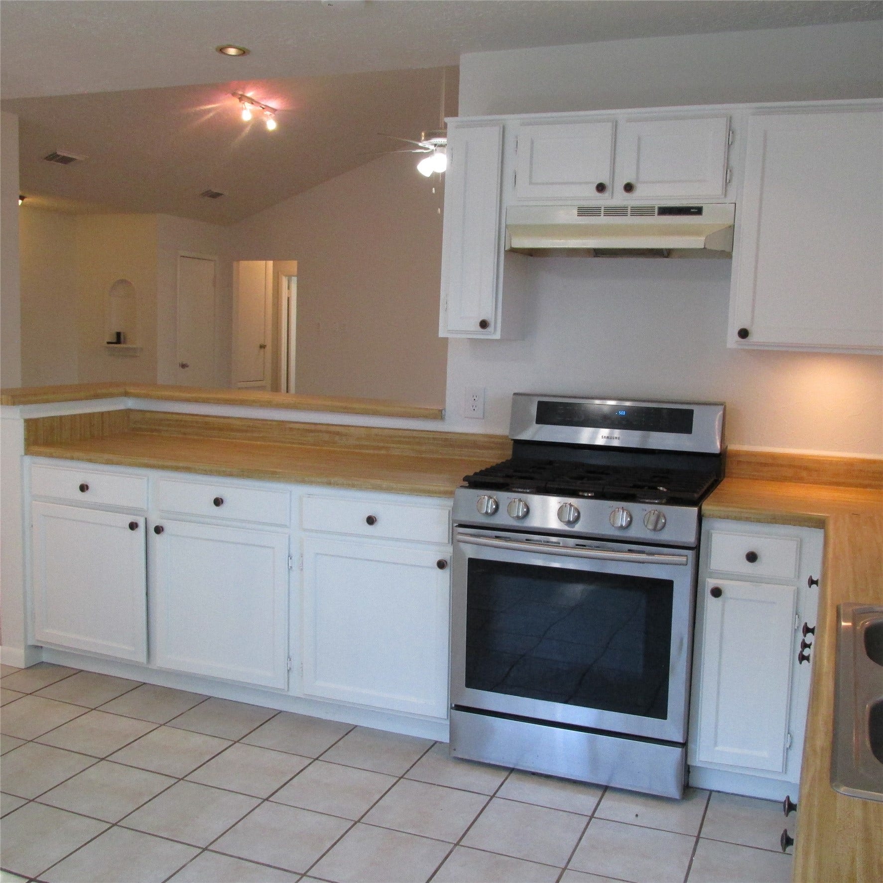 24042 Spring Gum Drive, Spring, TX 77373 Kitchen-Gas Range