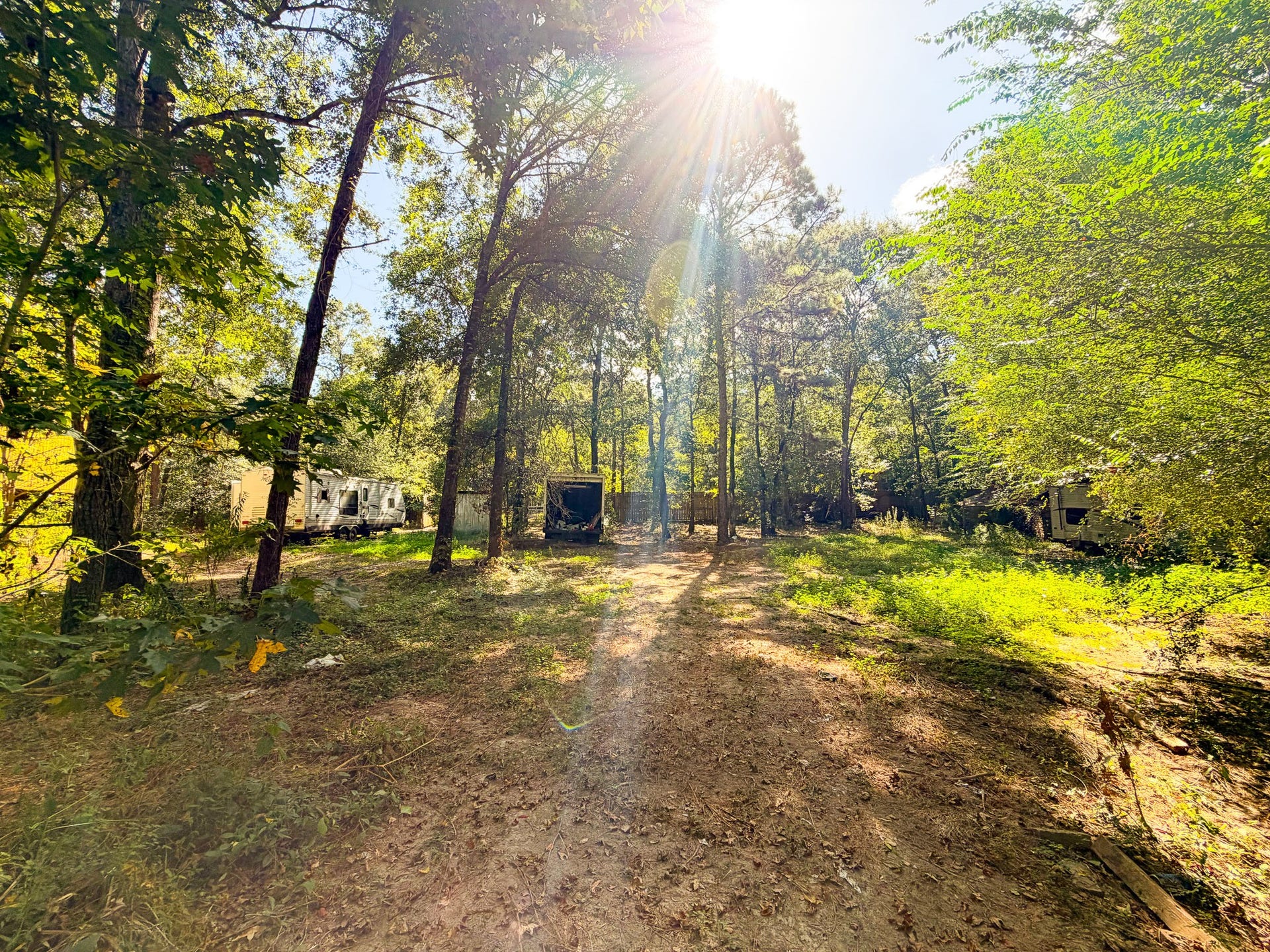 Nature and beautiful trees await you!