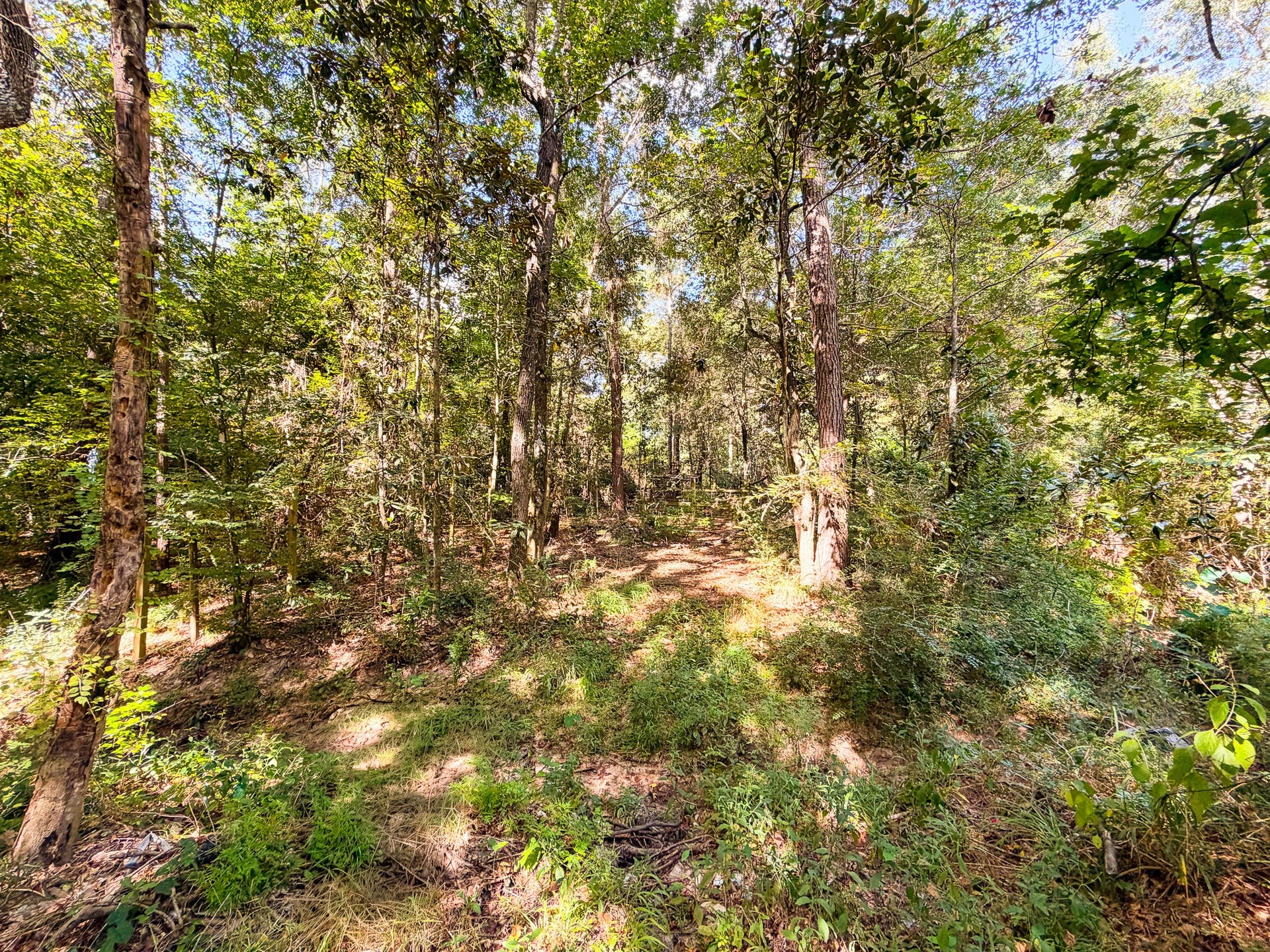 Wooded area for more privacy