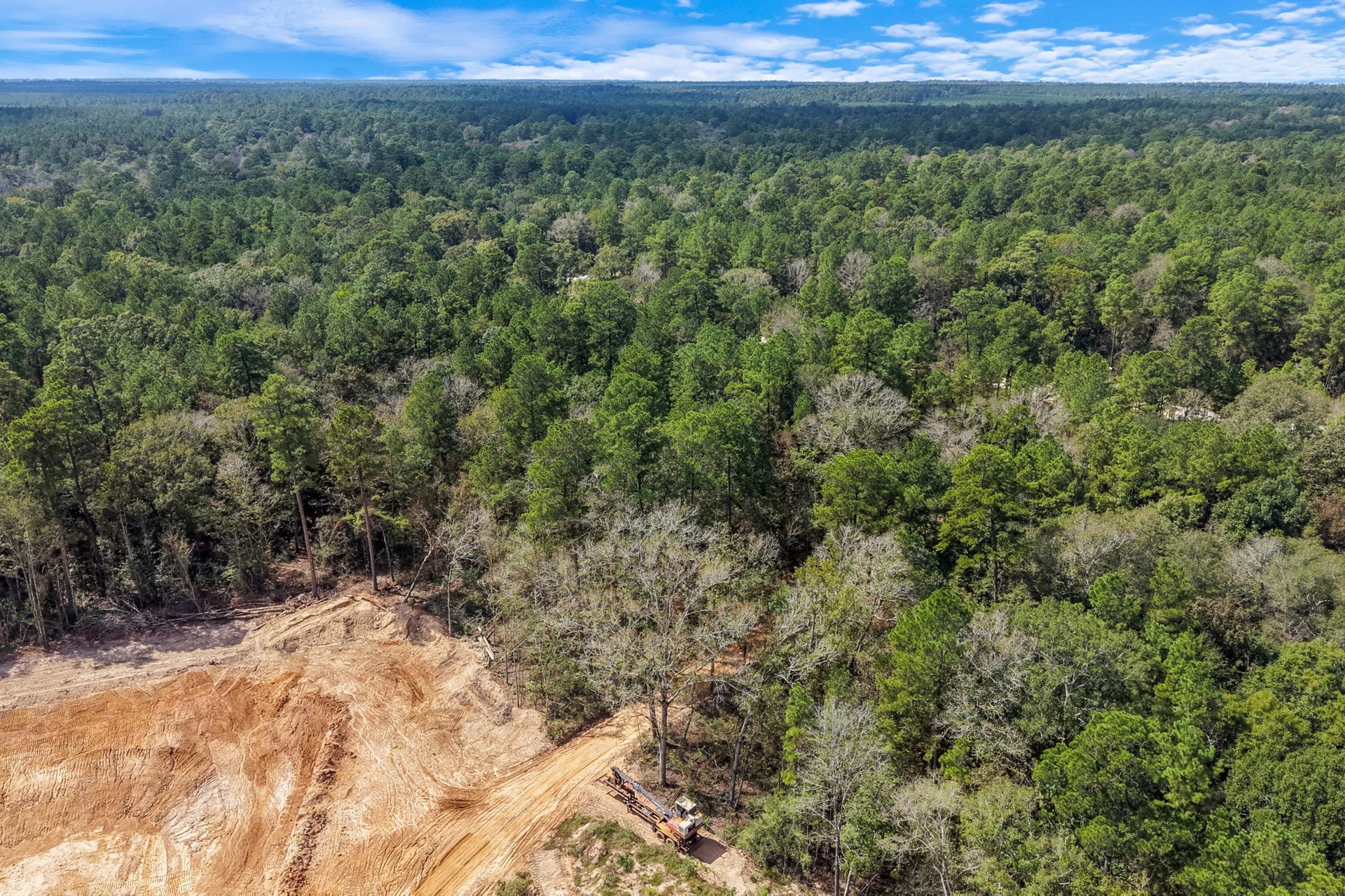 12109 Dawn Tree Lane, Willis, TX 77378 A mix of pines and hardwoods offers shade and a natural buffer from neighbors.