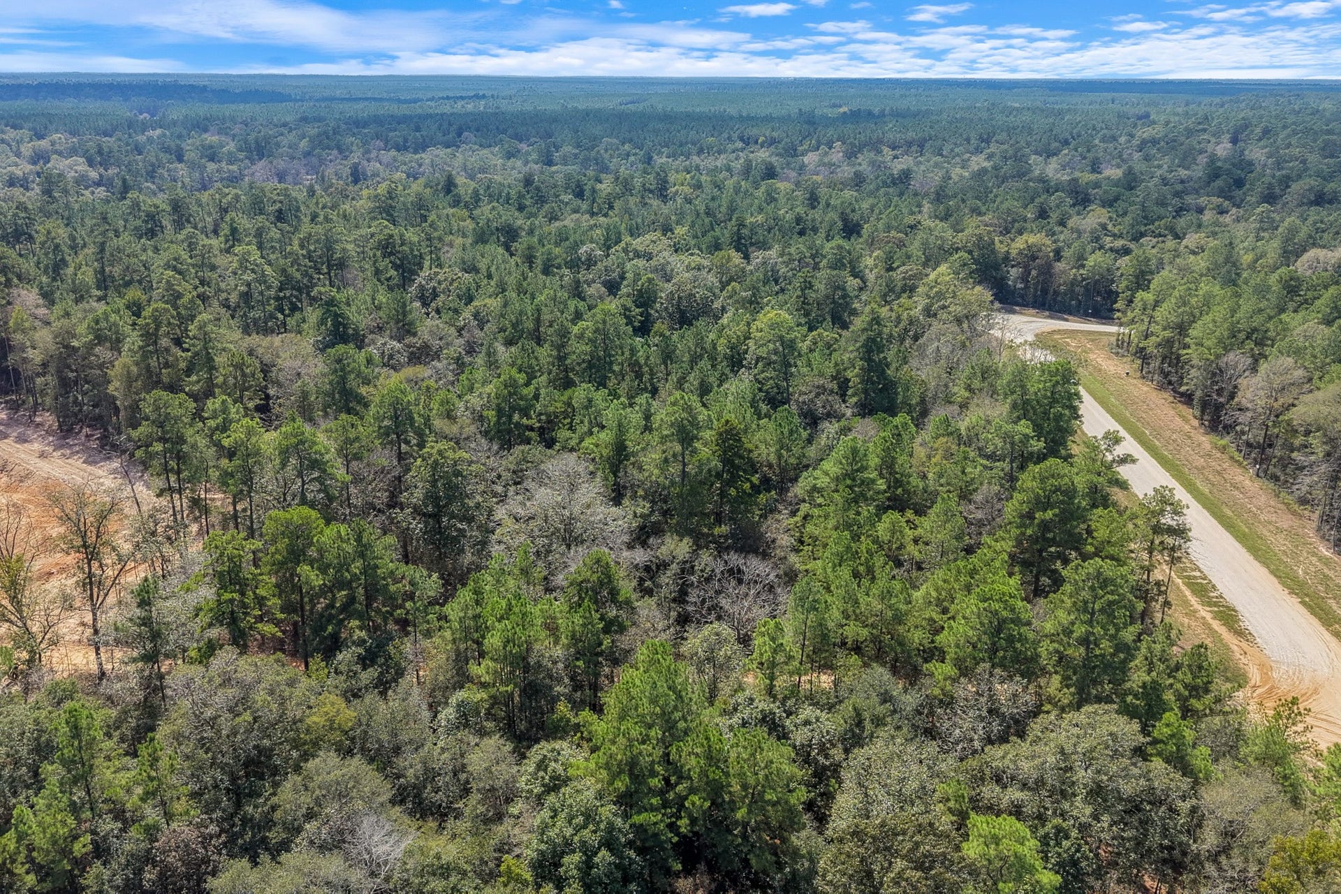 12109 Dawn Tree Lane, Willis, TX 77378 Evergreen forest stretches as far as the eye can see.