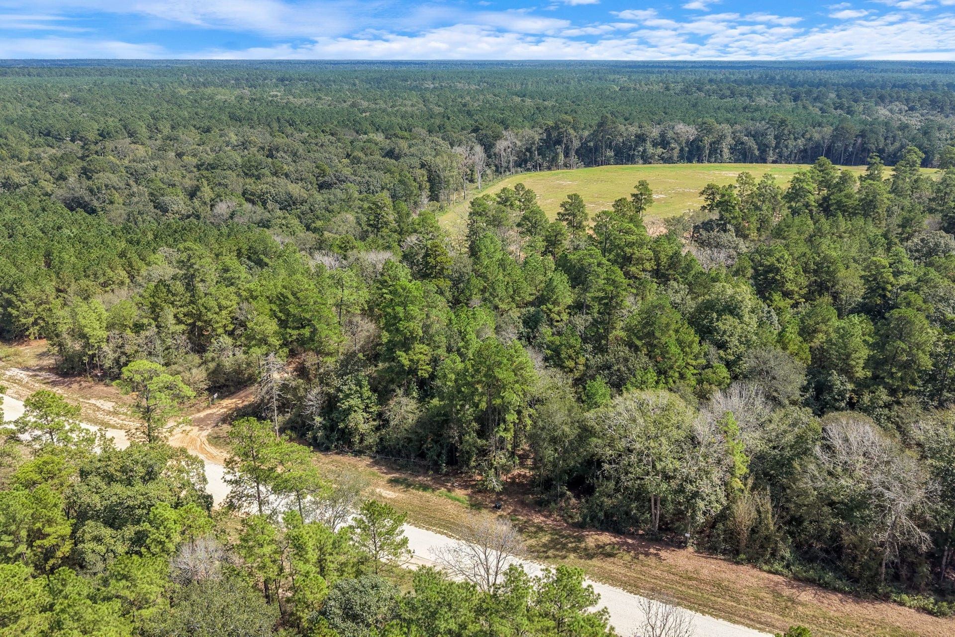 12109 Dawn Tree Lane, Willis, TX 77378 Forest on both sides of the road keeps the neighborhood quiet and secluded.