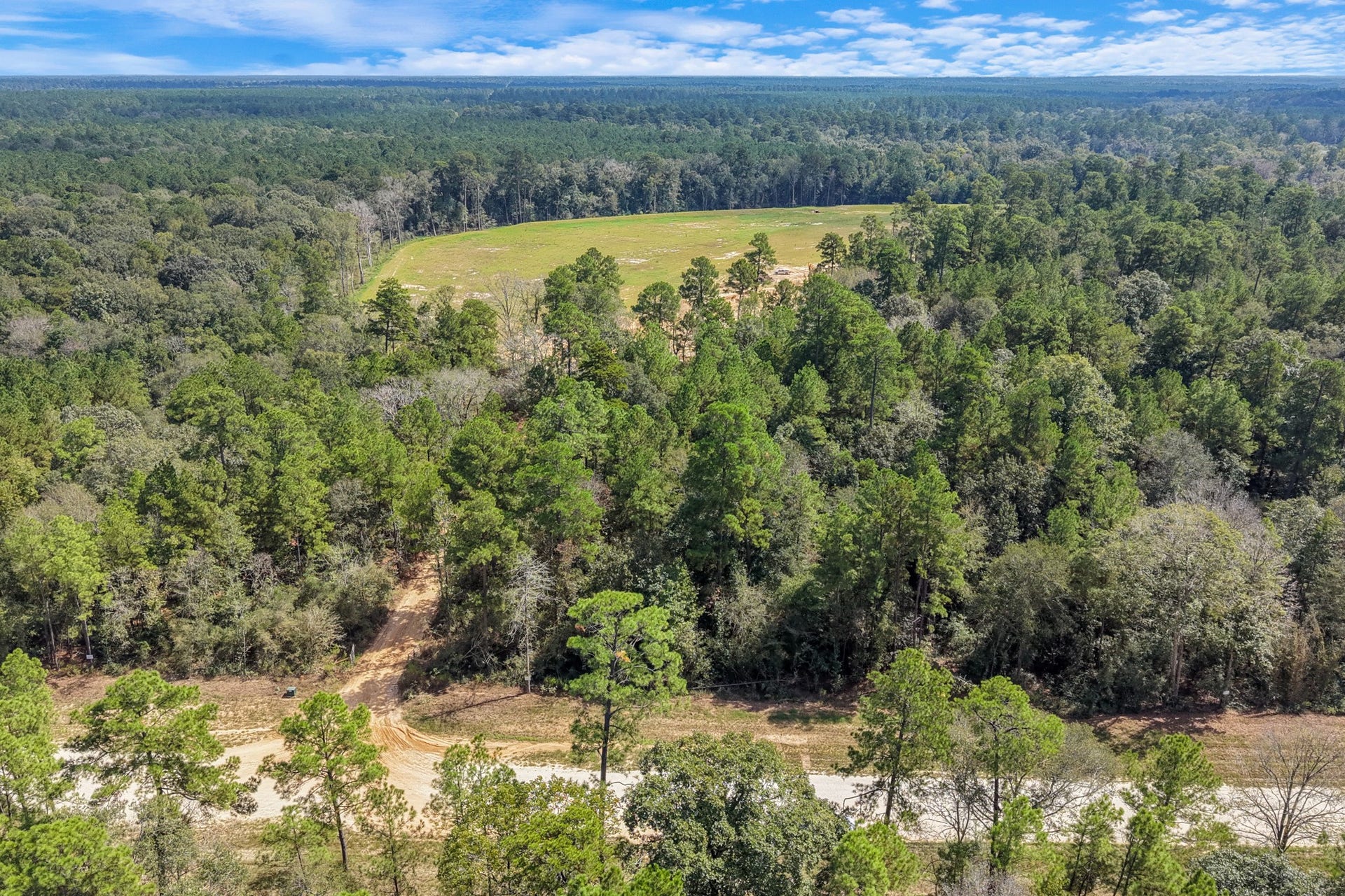 12109 Dawn Tree Lane, Willis, TX 77378 Room for a rural lifestyle in a community that allows horses and chickens.