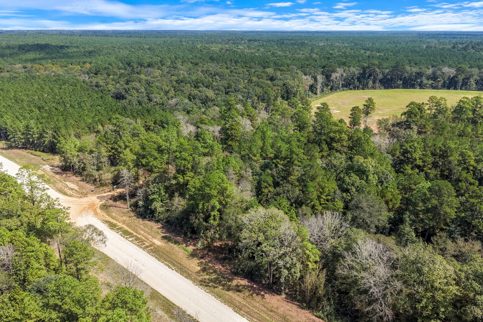 12109 Dawn Tree Lane, Willis, TX 77378 Community water service and paved roads run throughout the subdivision.