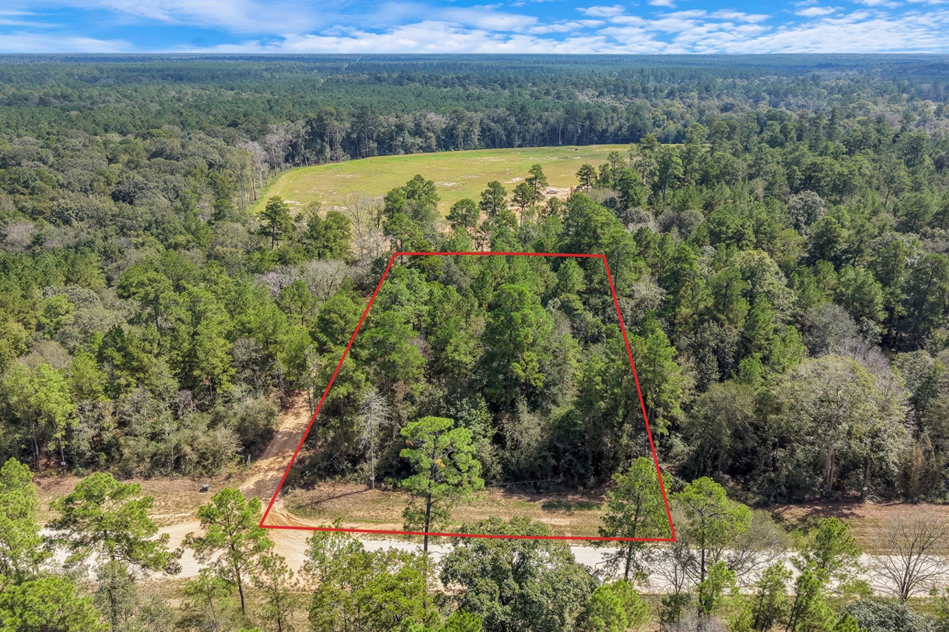 12109 Dawn Tree Lane, Willis, TX 77378 Welcome to 12109 Dawn Tree Ln, a wooded acreage lot in Republic Grand Ranch in Willis. This elevated, tree-covered property offers privacy, a low tax rate and no MUD. Boundary lines are approximate.