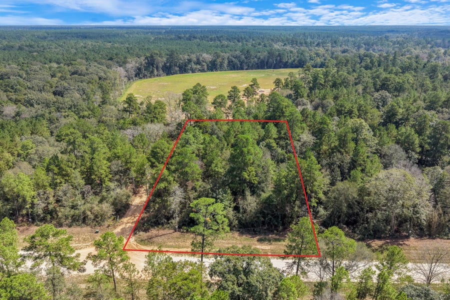 Property photo for 12109 Dawn Tree Lane, Willis, TX
