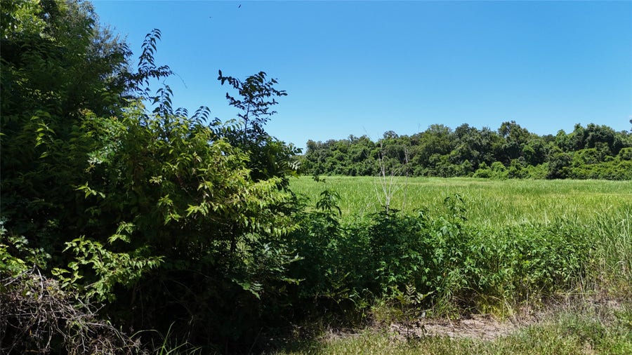 Property photo for TBD County Road 748 Nar, Rosharon, TX