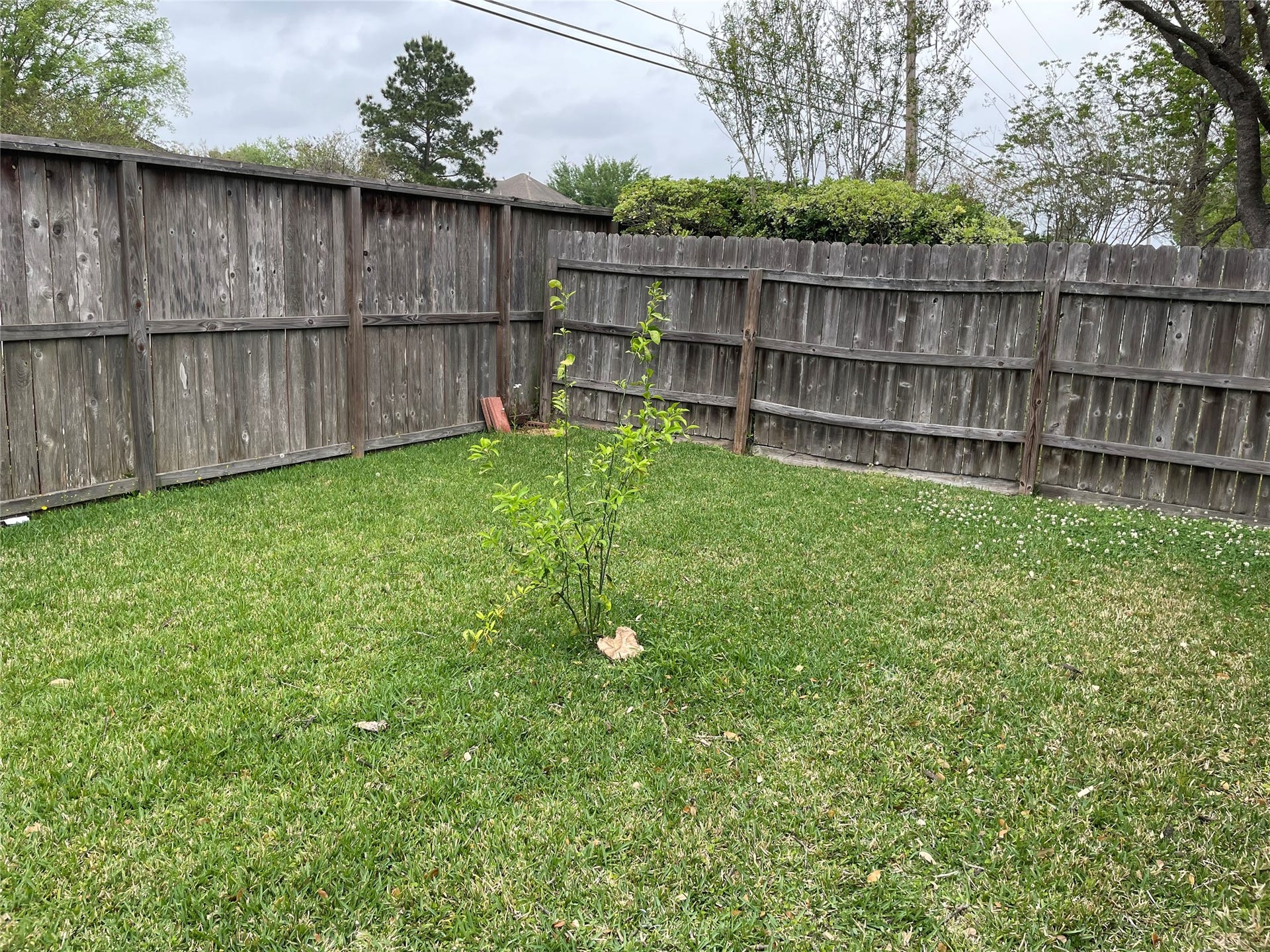 2922 Russett Place W, Pearland, TX 77584 2922 Russett Place W, Pearland, TX 77584