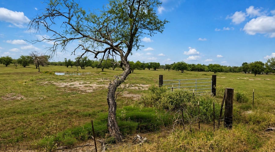 Property photo for 13530 Moody Road, Needville, TX