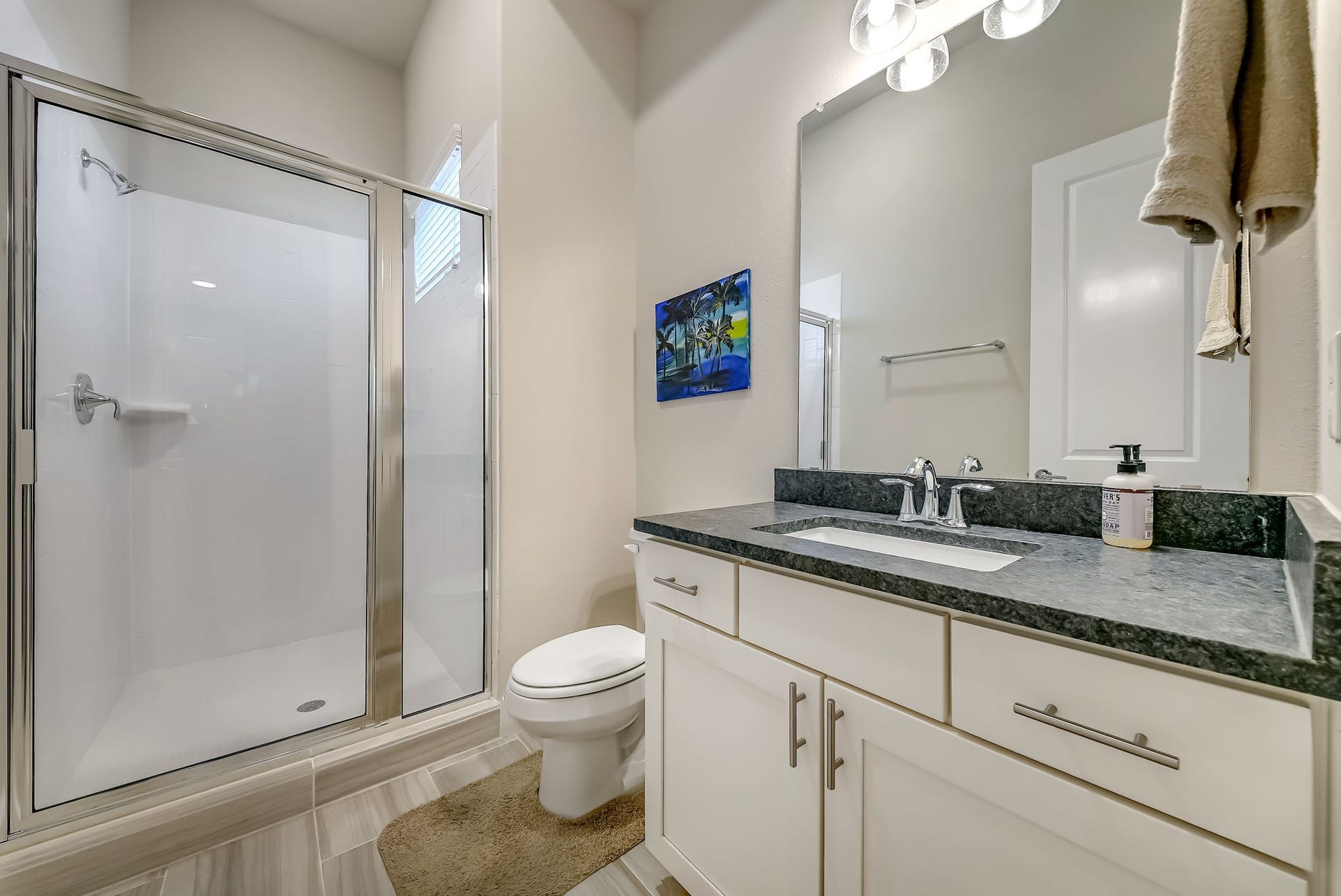 5916 Petty Street, #A, Houston, TX 77007 Full secondary bath featuring a walk-in shower and contemporary finishes.