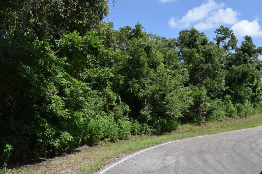 Property photo for 0 Colony Drive, Angleton, TX