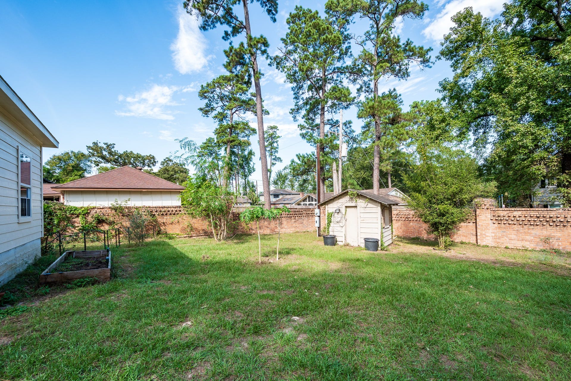 305 Hill Brook Lane, Conroe, TX 77385 Fruit trees galore, fig, lemon, lime, apple, ect.