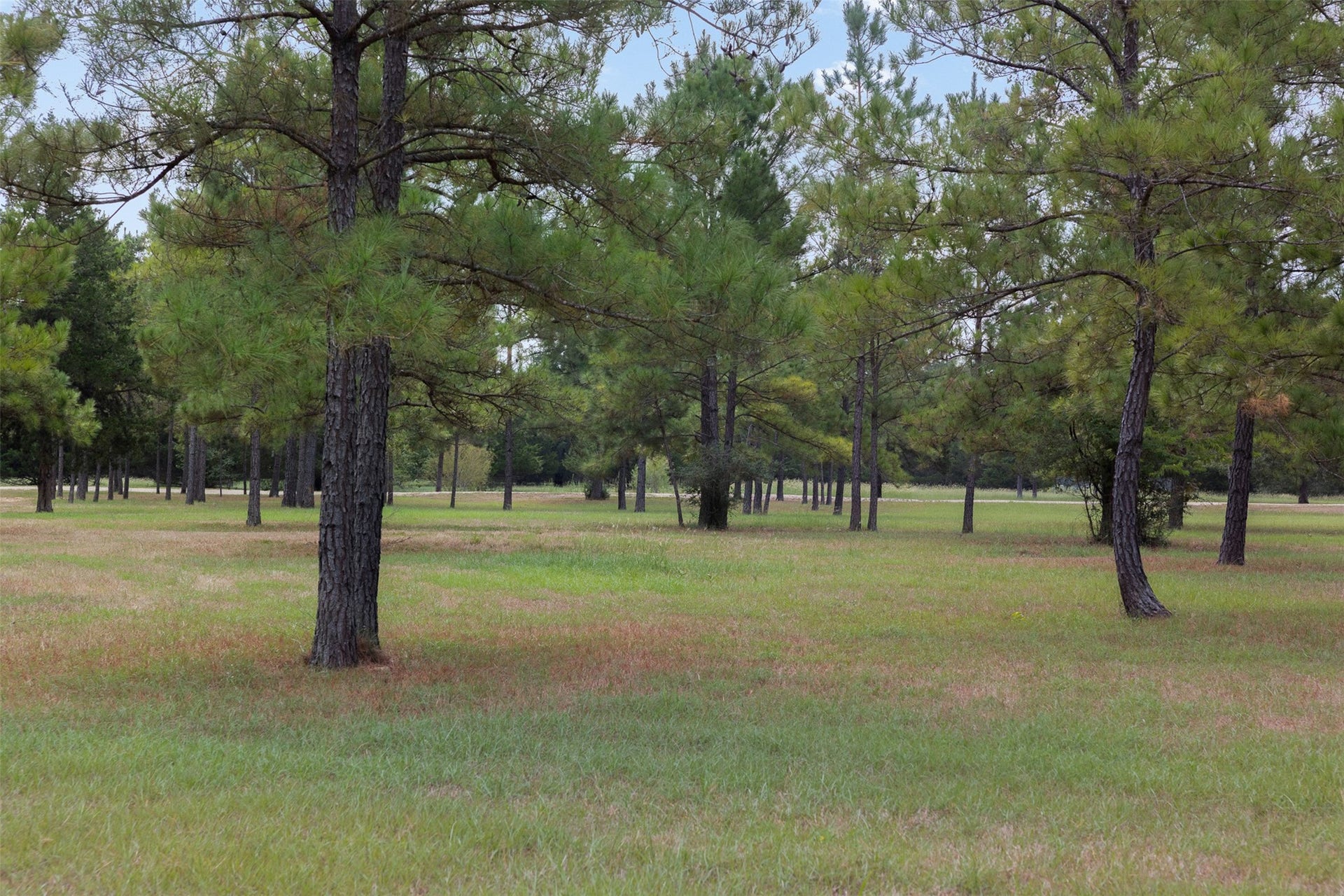 29489 Red Top Road, Richards, TX 77873 29489 Red Top Road, Richards, TX 77873