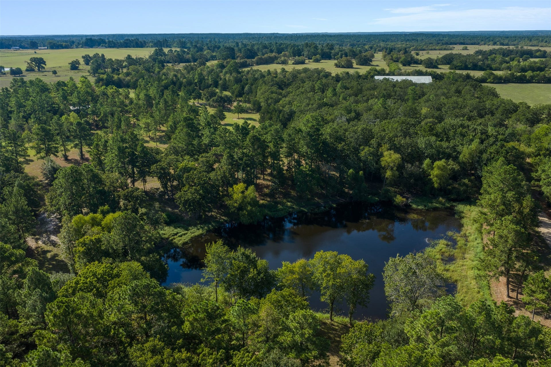 29489 Red Top Road, Richards, TX 77873 29489 Red Top Road, Richards, TX 77873